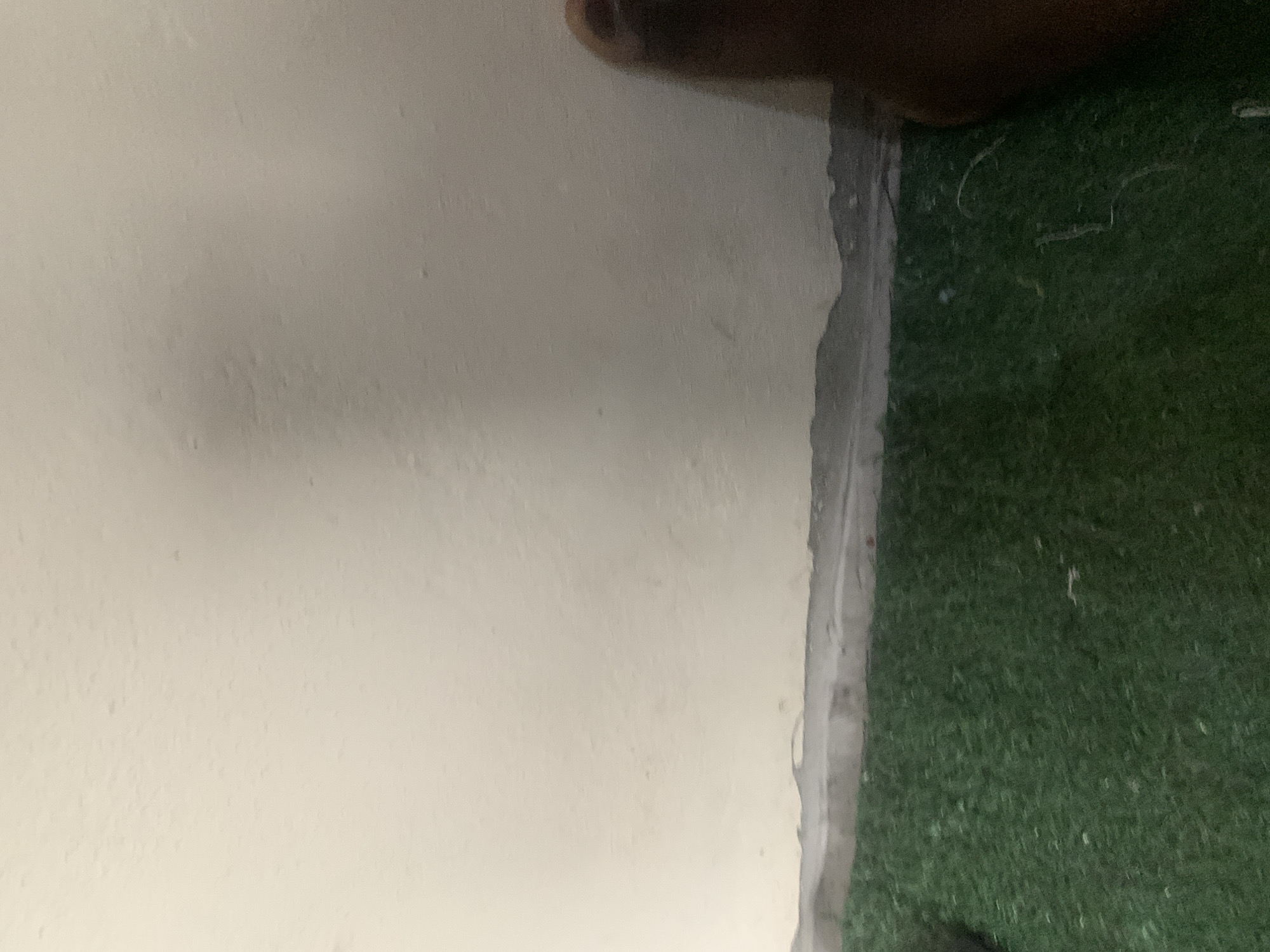 The image shows a close-up view of a wall and a carpeted floor. The wall is painted white and appears to have some texture and small imperfections. The carpet is green and looks like artificial turf, with a rough texture. There is a slight gap between the wall and the floor where the carpet meets the wall. On the right side of the image, a portion of a dark-skinned foot is visible. The scene is likely an indoor environment, possibly a room or a hallway. Without further context or information, it is not possible to determine the specific location within Jauro Yinu, Nigeria.