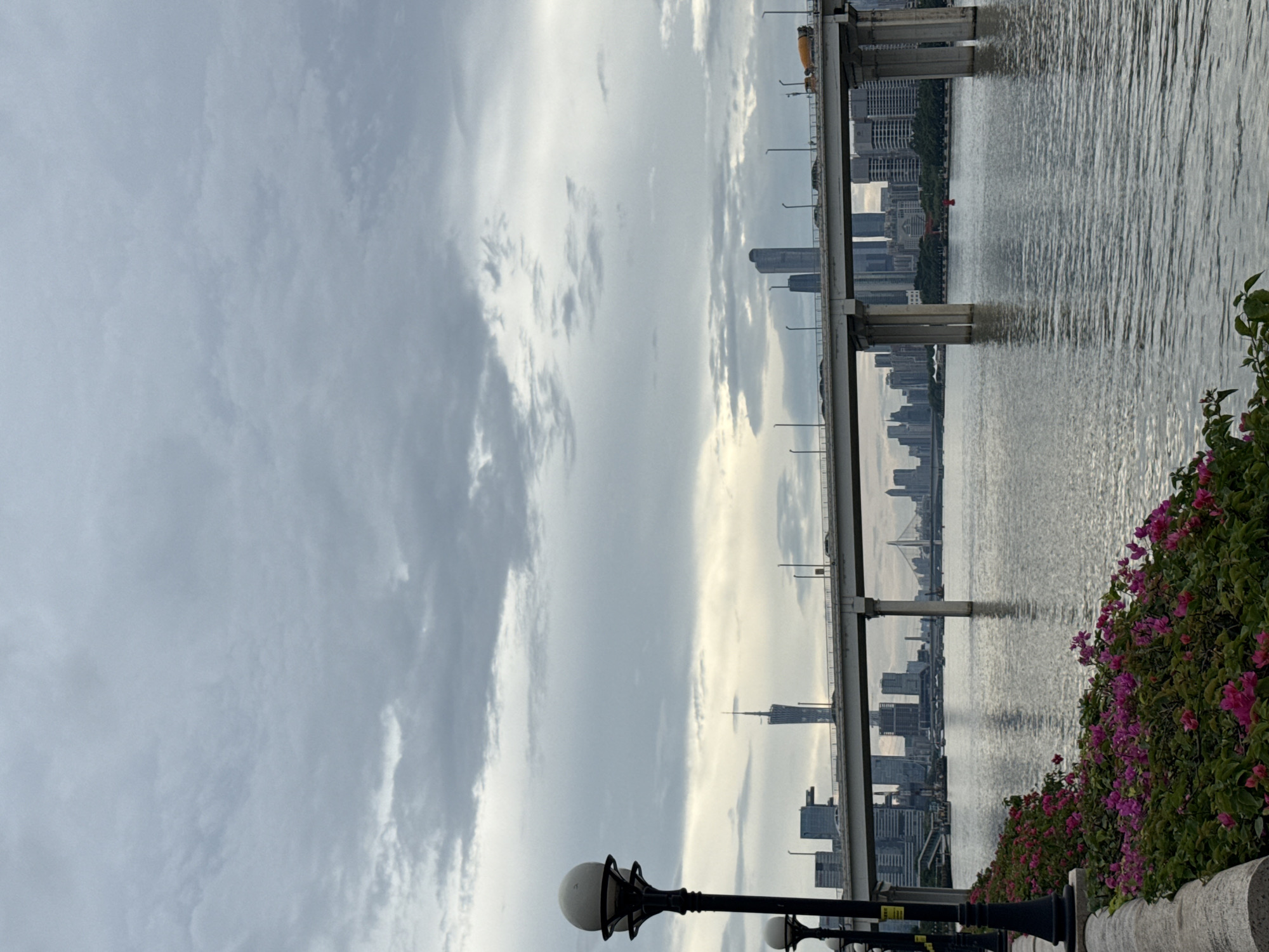 The image depicts a panoramic view of a city skyline along a river in Tianhe District, China. In the foreground, a stone embankment is lined with lush green bushes bearing vibrant pink flowers. Several black lampposts with spherical white lights stand along the embankment, one of which is prominently featured on the left side of the frame.
A wide river flows through the midground, reflecting the overcast sky and the city's structures. A multi-lane elevated highway bridge spans the river, with vehicles visible on its surface. The bridge is supported by substantial concrete pillars.
Beyond the river and bridge, a dense urban landscape unfolds, characterized by numerous skyscrapers of varying heights and architectural styles. Among these buildings, a distinctive tall, slender tower with a spire is a focal point in the skyline. The sky above is filled with a layer of grey clouds, suggesting a cloudy or overcast day. The overall scene conveys a sense of urban development and infrastructure within a metropolitan setting.