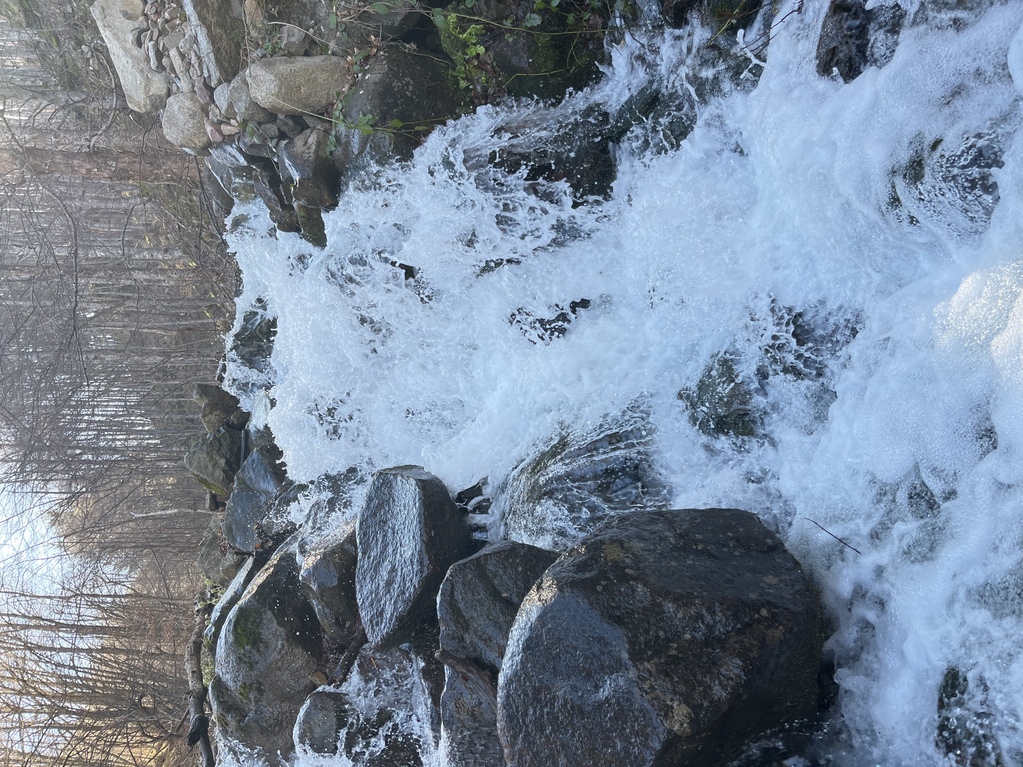 The image depicts a waterfall cascading over a series of dark, wet rocks. The water is highly aerated, appearing white and foamy. To the left, a forest of bare trees is visible. The location is Barziya, Bulgaria.