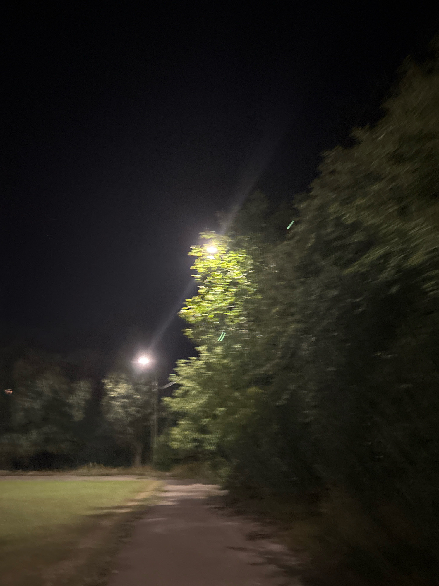The image depicts a nighttime scene with a pathway winding through a park-like area. Two streetlights are visible, one casting a bright glow on a cluster of trees to the right, and another further down the path, illuminating the immediate surroundings. The trees are dense and leafy, with the streetlight on the right creating a strong glare and highlighting the foliage in green. The ground appears to be a mix of grass on the left and a dirt or gravel path on the right. The sky is dark, indicating it is nighttime. The overall impression is one of a serene, perhaps slightly blurred, outdoor environment illuminated by artificial light. The location is not explicitly provided by the image itself, but the request specifies Ternopil, Ukraine.