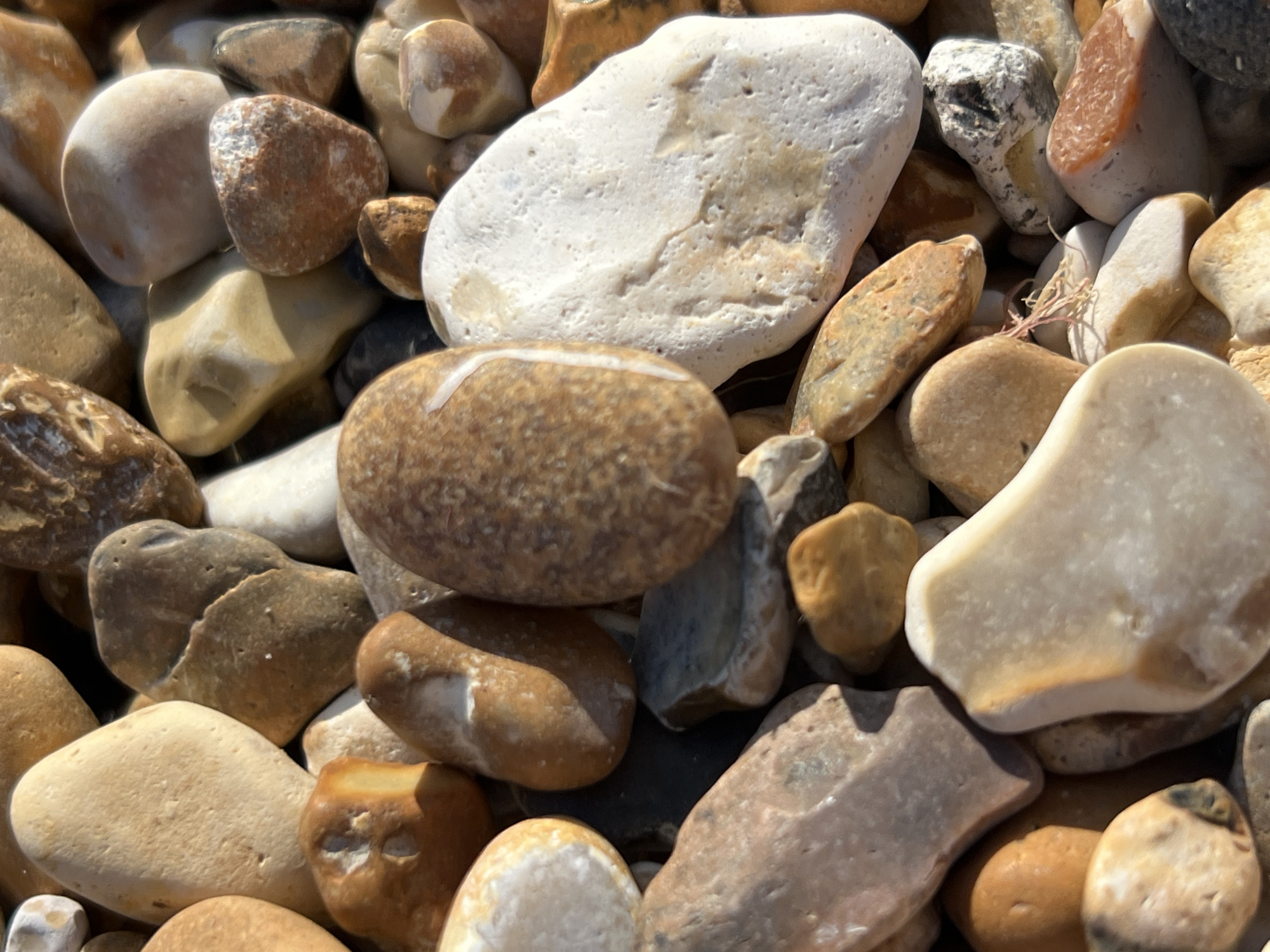The image shows a close-up, overhead view of a collection of smooth, multicolored pebbles. The pebbles vary in size, shape, and color, ranging from light beige and white to brown, gray, and reddish-orange. Some of the pebbles have distinct markings or textures. The lighting suggests an outdoor setting, likely a beach or a rocky shoreline, with shadows indicating sunlight. The image does not contain any people or human activity. The location is identified as Arun, United Kingdom.