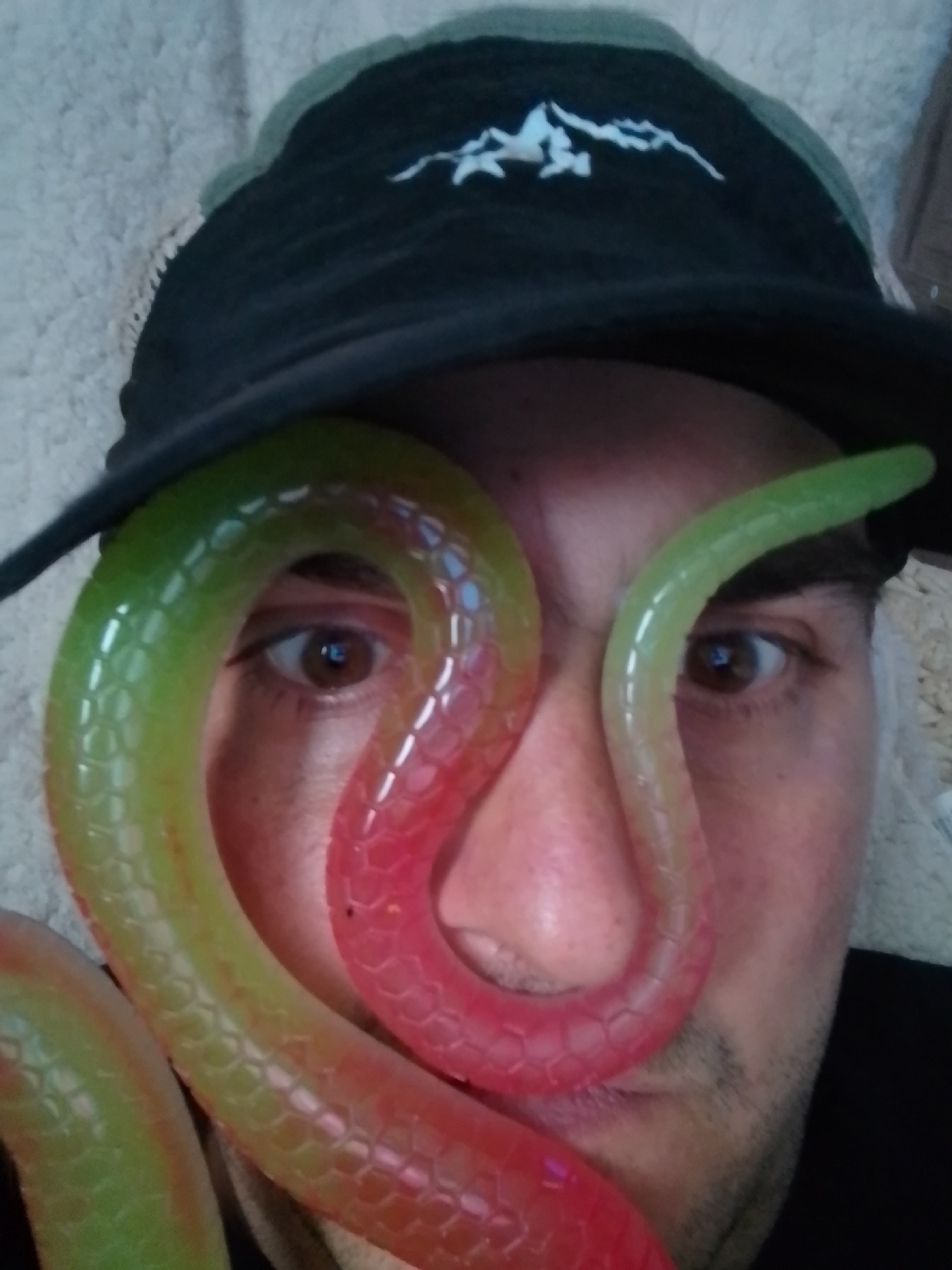 The image is a close-up, Dutch angle, first-person perspective shot of a person's face and upper body, partially obscured by a black baseball cap with a white mountain logo and a long, segmented, flexible toy snake. The toy snake is colored with a gradient from green to red and is positioned around the person's nose and eyes, with one end extending out of frame to the left and the other to the right. The person is wearing dark clothing, and their eyes, which are brown, are visible through the toy snake. The background appears to be a textured, light-colored surface, possibly a blanket or upholstery. The scene does not provide any identifiable landmarks or details that would allow for its location to be determined in the city of Wedel, Germany.