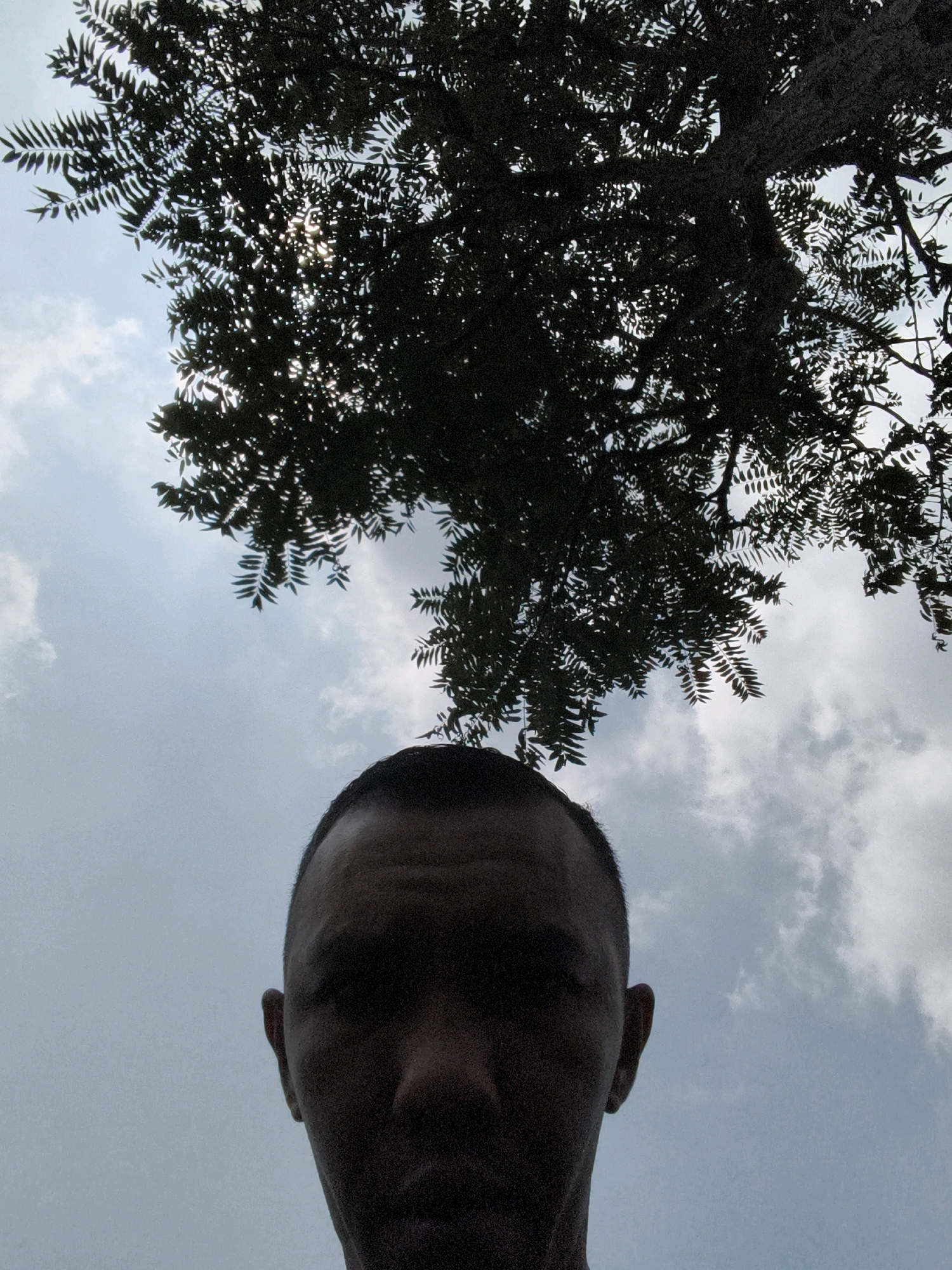 The image is a low-angle, close-up selfie taken outdoors, possibly in Pasar Minggu, Indonesia, with a person's head and shoulders filling the lower portion of the frame. The person, an adult male with short hair and visible ear, is looking directly at the camera, with their face in shadow. Above the person, the dark silhouette of a tree's dense foliage is prominent against a cloudy sky. The sunlight filters through the leaves, creating a dappled effect. The overall atmosphere is somewhat overcast.