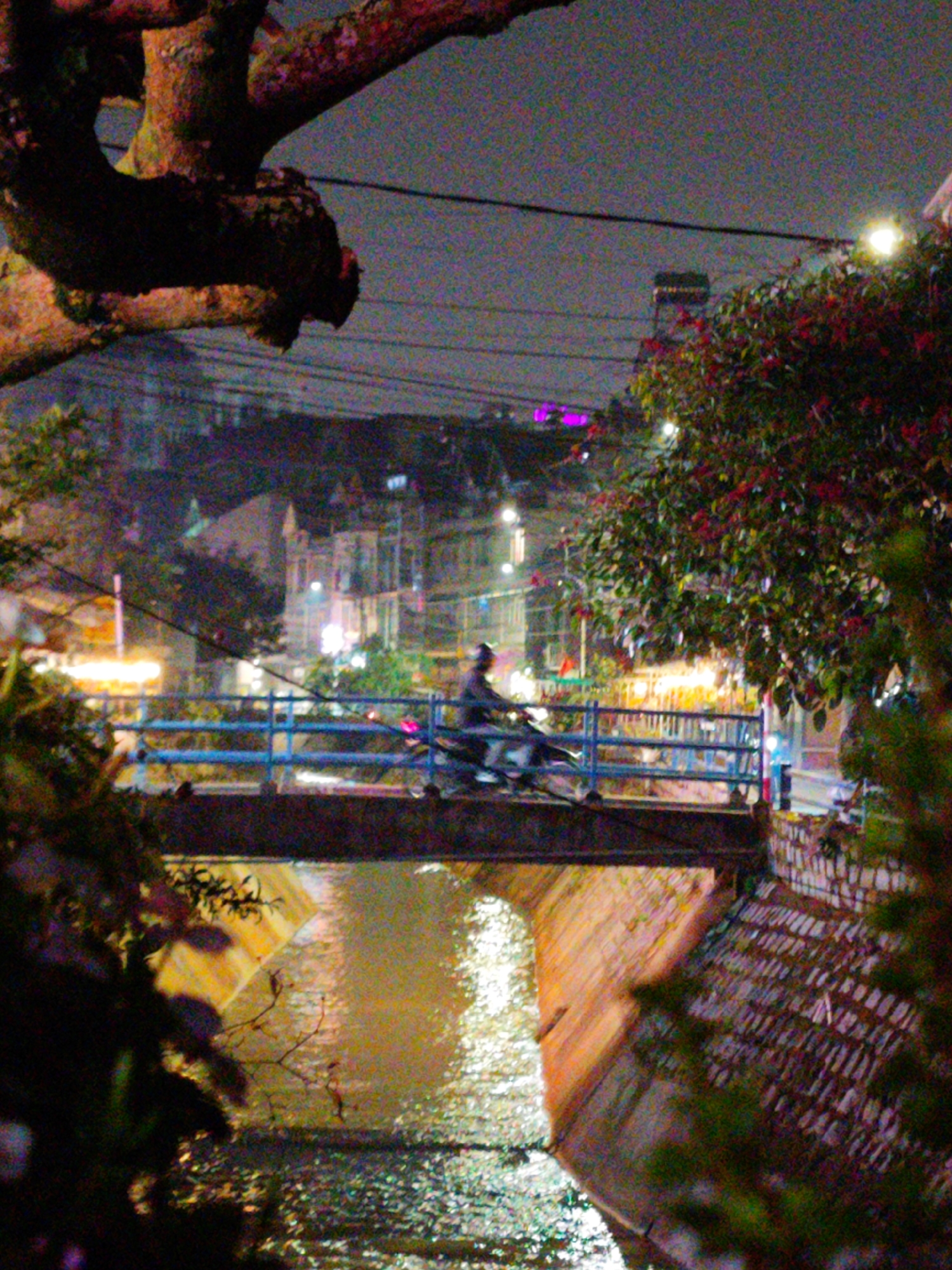 The image depicts a nighttime scene in Cam Ly, Đà Lạt, Vietnam, characterized by a narrow water channel spanned by a bridge. The sky is dark and overcast, illuminated faintly by distant artificial lights, indicating late evening or night.
In the mid-ground, a lone figure on a scooter or motorcycle is captured in motion, crossing the bridge from left to right. The bridge features distinct blue railings and dark concrete or stone support structures. Below, the water channel reflects ambient light, creating shimmering patterns on its surface. The banks of the channel are lined with a textured wall, possibly made of stone or brick.
The foreground is framed by dark, gnarled tree branches on the upper left, while a lush tree with green and reddish foliage stands prominently on the right, brightly lit by an unseen light source. In the distance, a cluster of buildings with diverse architecture is visible, some casting warm glows from their windows or exterior lights. Overhead power lines are visible against the dark sky. The entire image has a noticeable grainy quality, common in low-light photography. There is no visible text in the image.