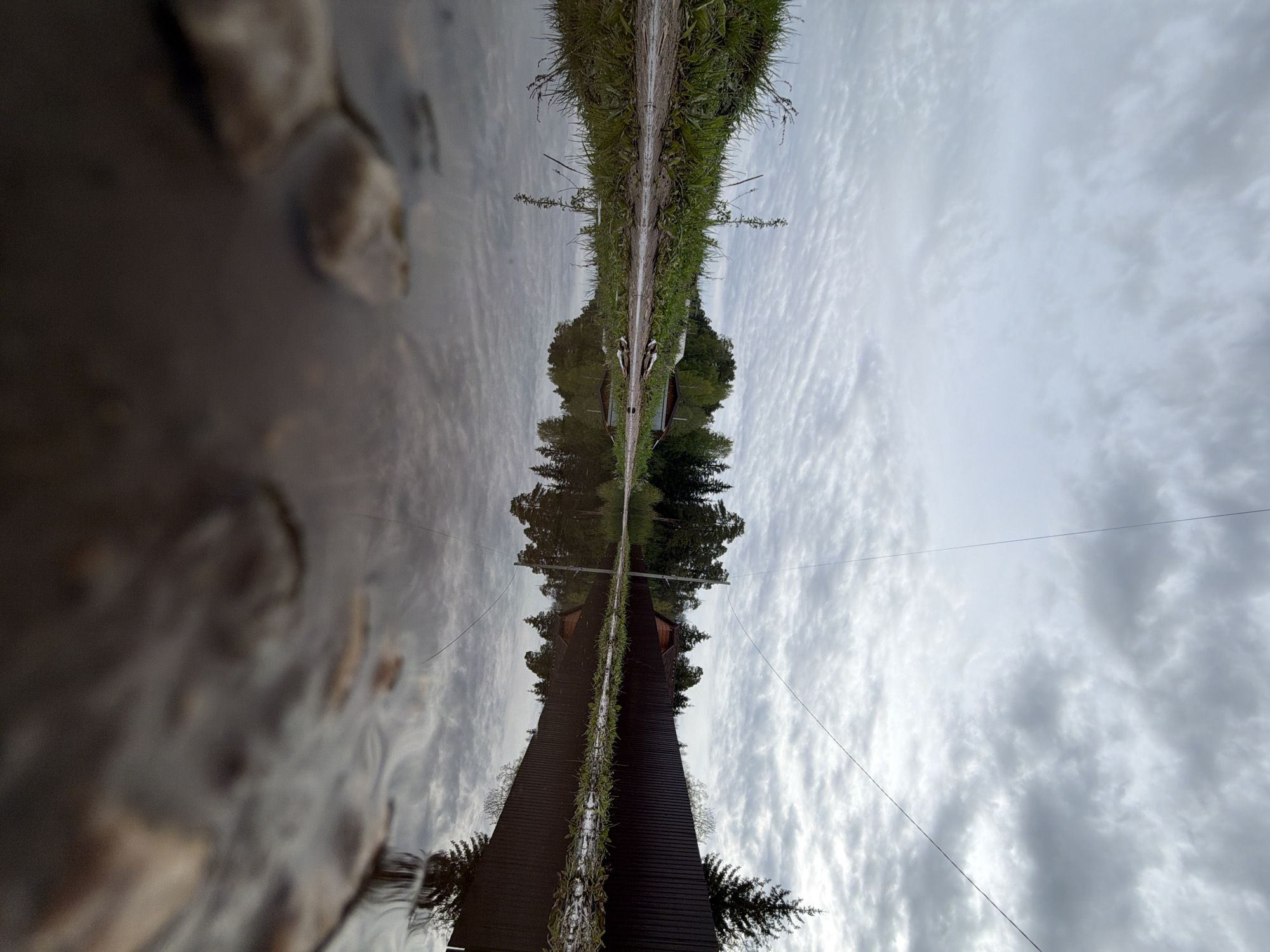 The image is an upside-down reflection of a scene in Chaikovsky, Russia. The reflection appears in a body of water with rocks and muddy edges visible. Above, a grassy path leads to a building, possibly a church or bell tower, with surrounding trees and a cloudy sky overhead. Power lines are visible against the sky.