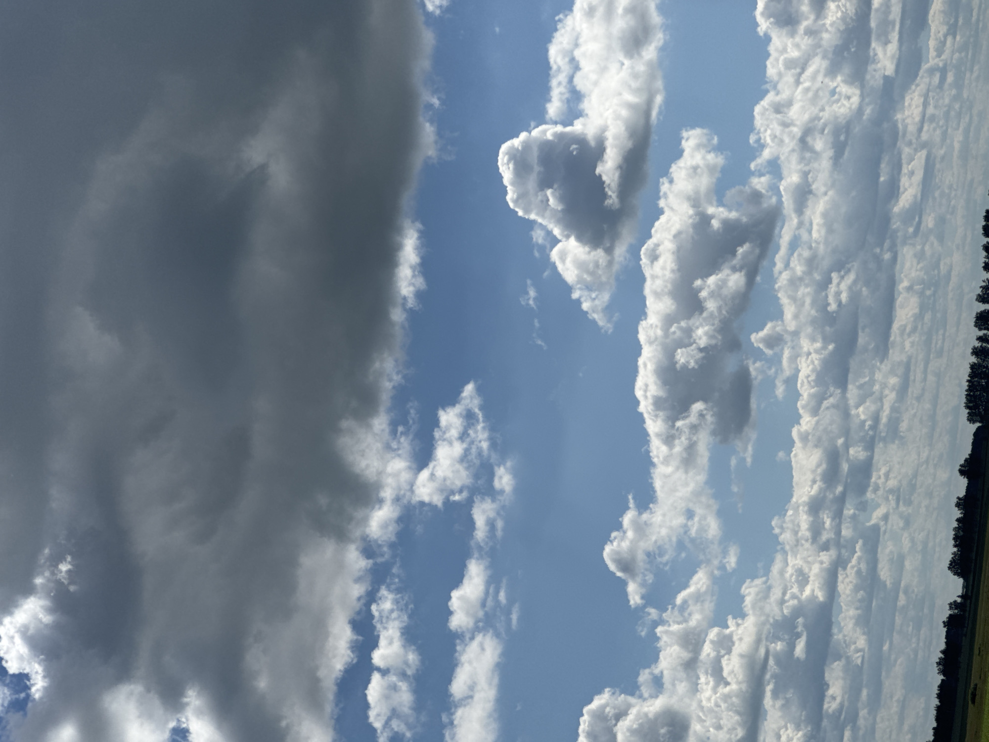 The image shows a wide shot of a cloudy sky over a rural landscape. The sky is filled with a mix of dark gray storm clouds and lighter, fluffy white cumulus clouds. The lower portion of the image shows a dark silhouette of trees and vegetation against a slightly lighter horizon, suggesting a field or meadow. The overall scene depicts a dramatic and somewhat moody sky, likely indicating approaching or passing weather. The location is identified as Aktsyabrski rural council, Belarus.