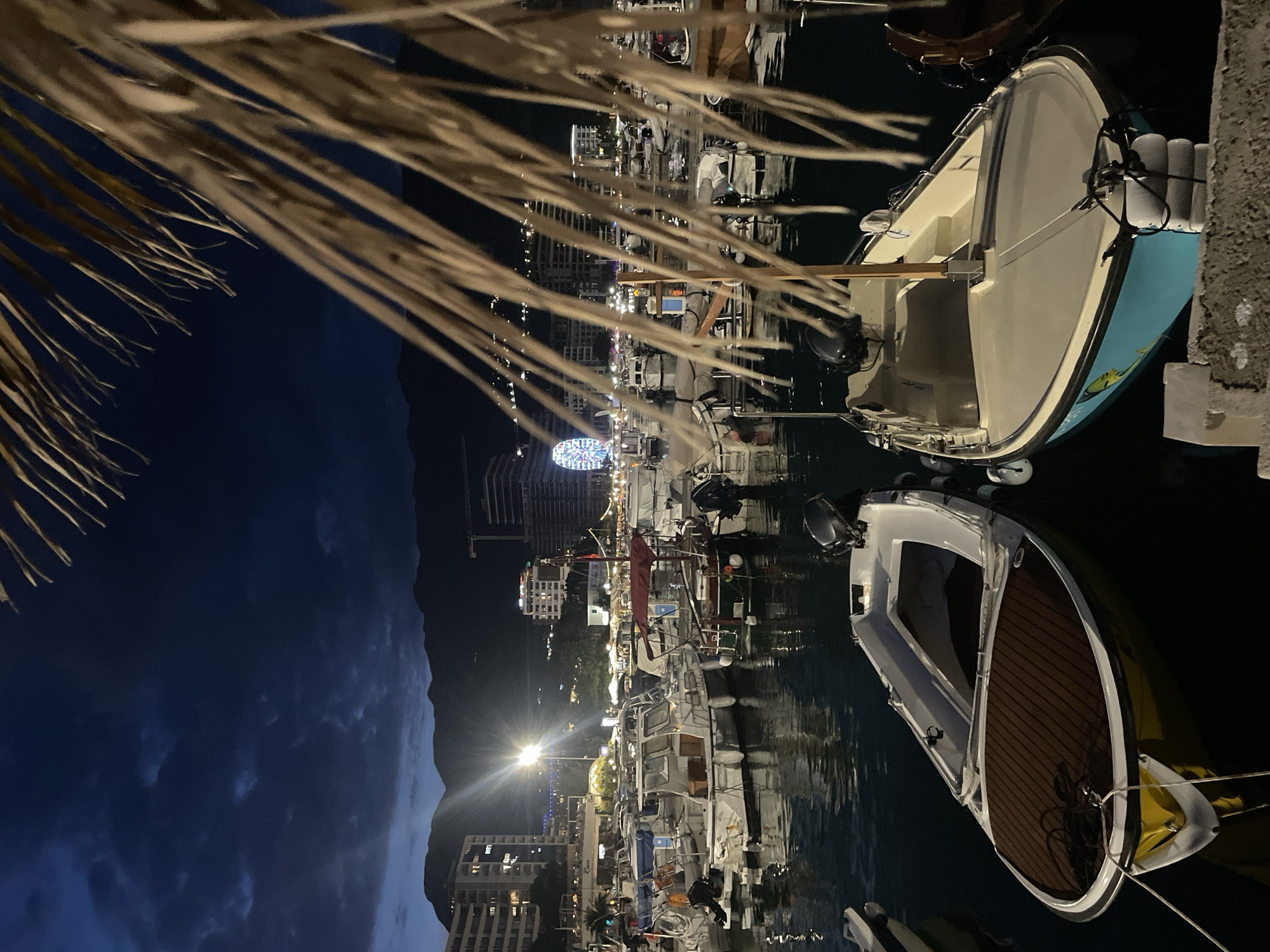 This image captures a night scene of an unidentified coastal city's marina. In the immediate foreground, dry palm fronds partially obscure the upper right section of the composition. Two small motorboats are moored prominently: one on the left with a yellow lower hull, white upper hull, and a brown patterned deck; another on the right with a light blue lower hull and white upper hull. Both boats are equipped with outboard engines. The midground contains a dense collection of various small to medium-sized boats docked in the dark water, displaying numerous reflections of artificial light. The background features a brightly lit urban coastline with multiple multi-story buildings. A strong artificial light source, likely a streetlamp, emits a glare on the left side. A large, illuminated Ferris wheel is a distinct feature on the right side of the waterfront cityscape. Behind the urban structures, dark, silhouetted mountains rise against a deep blue, cloudy night sky. Construction cranes are visible among the background buildings. No individuals are discernible within the frame.
