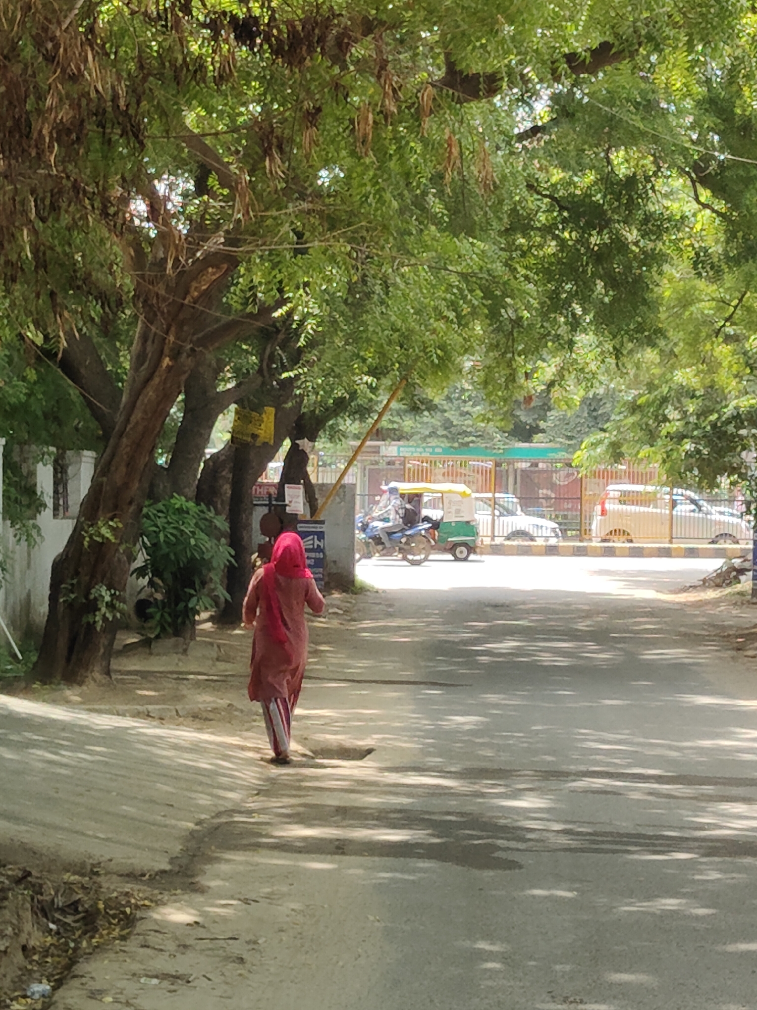 The image depicts a street scene in Gurgaon, India, characterized by lush green trees lining a paved road. In the foreground, a woman wearing a reddish-pink garment and a headscarf walks away from the camera on the left side of the road. She has striped trousers on her lower body. On the right side of the road, an auto-rickshaw and several cars are parked or moving. The background features a metal fence and more greenery. The sunlight filters through the dense foliage, casting dappled shadows on the road, suggesting a bright, sunny day. The overall atmosphere is that of a typical urban street with moderate traffic and vegetation.
