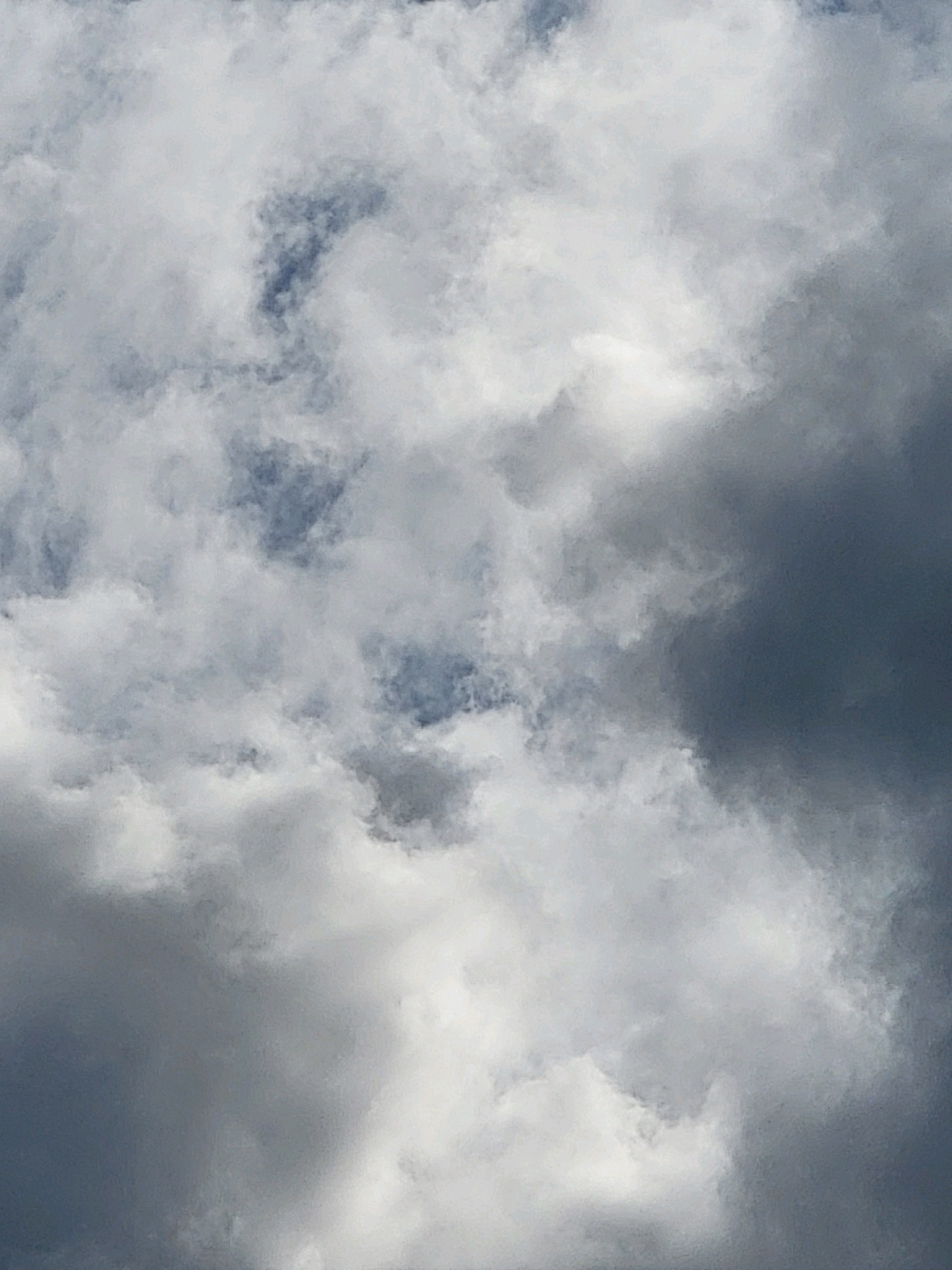The image is a close-up, vertically oriented photograph of a cloudy sky. The clouds are dense and varied in color, ranging from bright white where sunlight is hitting them to dark gray in shadowed areas. There are patches of blue sky visible between the clouds, suggesting it is daytime. The texture of the clouds is soft and diffused, with no distinct shapes or formations clearly discernible. The scene appears to be a natural, outdoor environment. There are no people, animals, buildings, or any man-made objects visible in the image. The photograph captures a moment of natural atmospheric conditions.