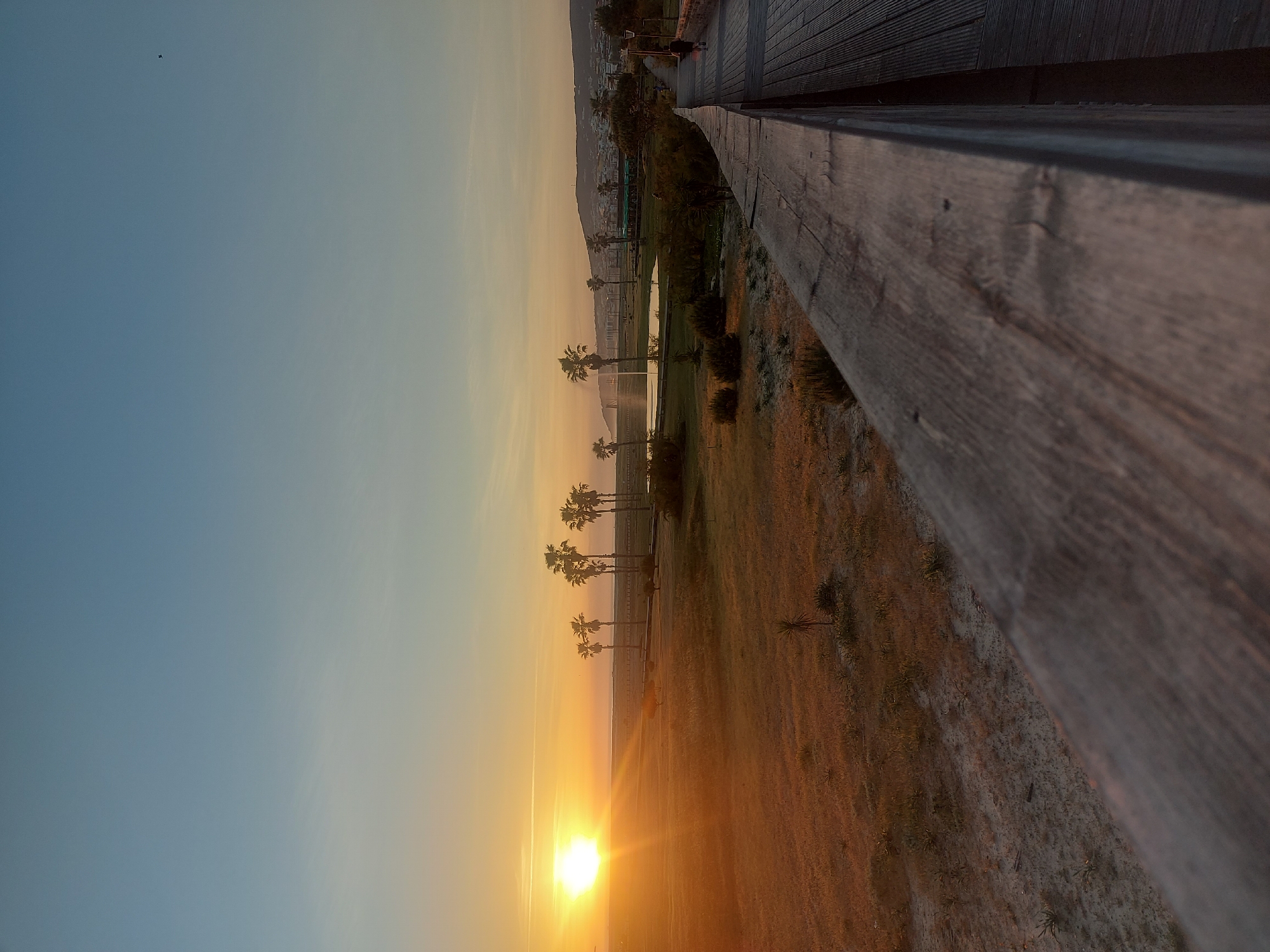 Here is a description of the image:
The image shows a view of the beach at sunset in Figueira da Foz, Portugal. The sky transitions from a light blue to a bright yellow-orange as the sun sets on the horizon. Several palm trees are visible along the beach, standing tall against the vibrant sky. The foreground of the image is dominated by a wooden boardwalk and a grassy area, with the texture of the wood and the dry grass adding depth to the scene. The boardwalk extends into the distance, with a few people visible at the far end, enjoying the sunset view. In the background, there are buildings and a mountain range, completing the landscape of Figueira da Foz.