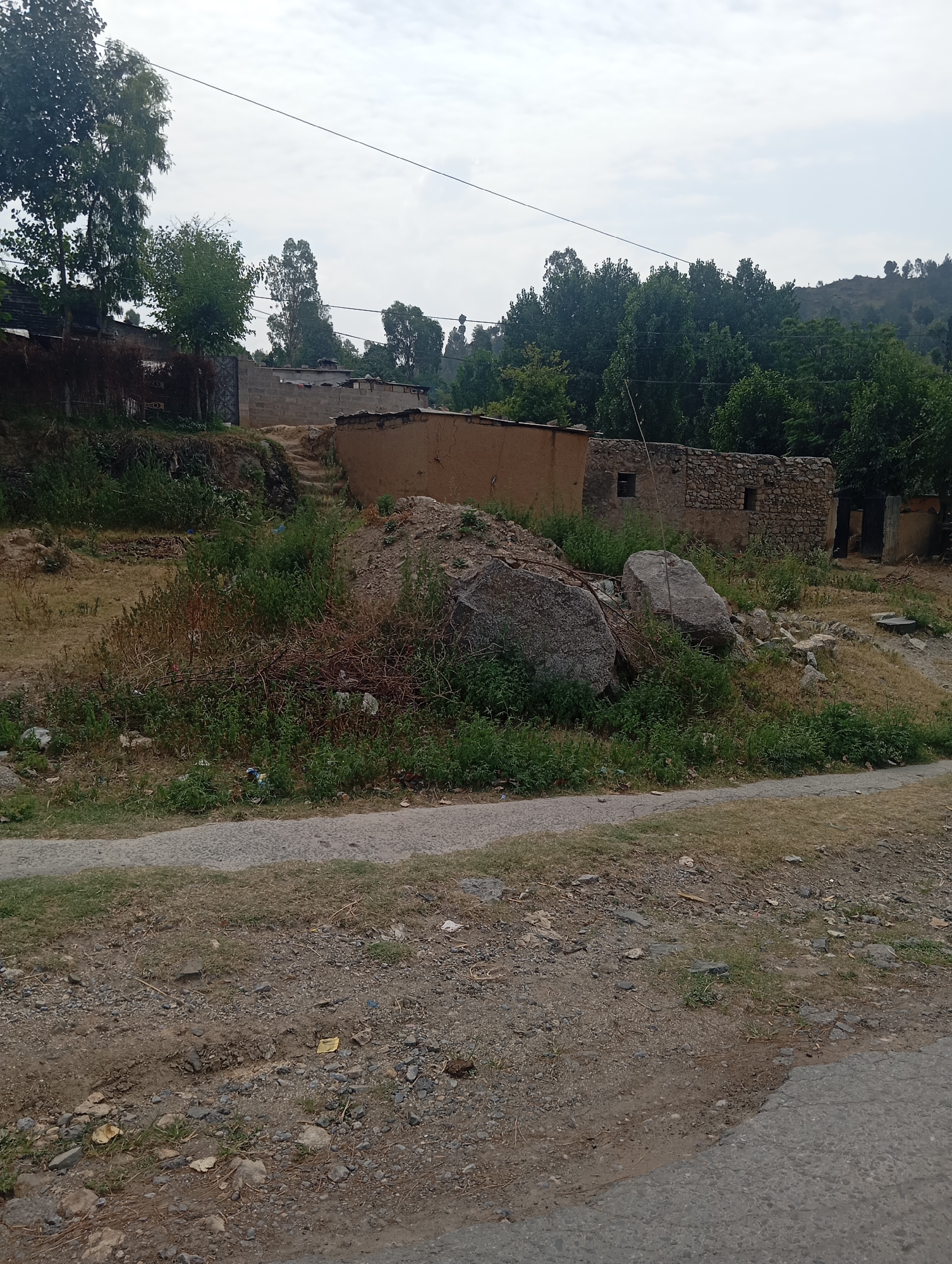 The image depicts a rural landscape in Lassan, Pakistan, characterized by a rough, unpaved road in the foreground. Beyond the road, a dry, grassy embankment rises, dotted with various debris including plastic bags and scattered leaves. Several large boulders are present on this slope, some partially overgrown with vegetation.
Further up the embankment, a cluster of buildings is visible. One structure features mud and straw walls with a flat, earth-covered roof. Adjacent to it is a building constructed from stone, with visible windows. Another structure to the right appears to be partially constructed from concrete blocks. The area around these buildings is overgrown with dense green vegetation and dry brush.
In the background, a dense forest of trees covers rolling hills. The sky is overcast with a mix of clouds. Overhead, electrical wires are strung across the scene. The overall impression is one of a rural, somewhat undeveloped area. There are no people or animals visible in the image.