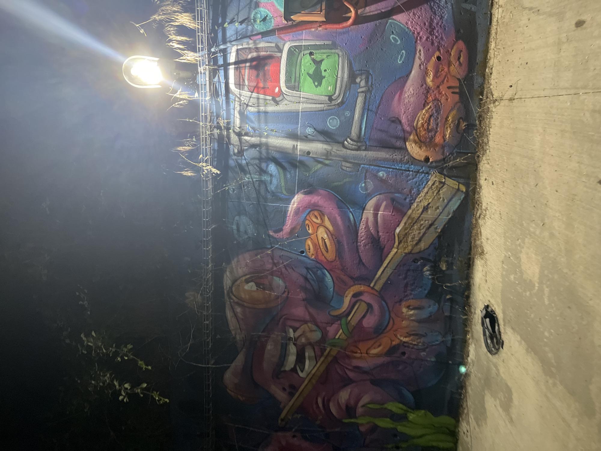 The image depicts a graffiti mural on a concrete wall at night. The mural features a cartoonish, pink octopus-like creature holding a wooden paddle. To the right of the creature is a vertical pipe structure with two rectangular openings, resembling traffic lights. The top opening is red, and the bottom opening is green, containing a silhouette of a fish. The overall color palette of the mural is vibrant, with blues, purples, pinks, and oranges. A bright streetlamp illuminates the scene from above and to the right, casting long shadows and creating a lens flare effect. Overgrown vegetation, likely vines, drapes down from the top of the wall and around the lamp. The ground in front of the wall is a concrete pathway, and a black trash bag is visible on the ground. The graffiti appears to be located in Lozenets, Bulgaria, as indicated by the context provided. There are no people visible in the image.