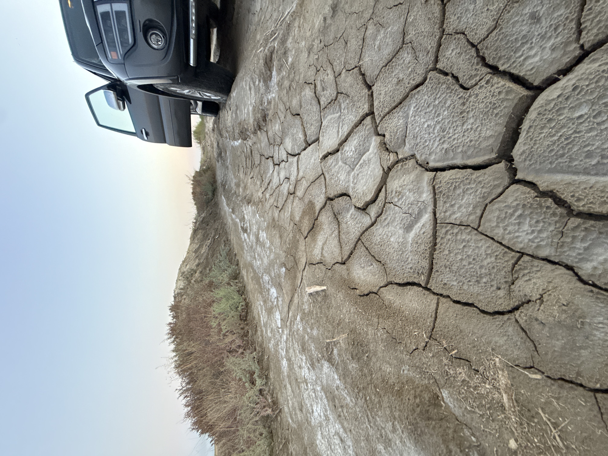 The image depicts a dark-colored SUV with its driver's side door open, parked on a cracked, dry dirt road. The ground is characterized by deep, irregular fissures, indicative of dried mud. Sparse, dry vegetation grows along the left side of the road, bordering a slight incline. The sky above is clear and light blue, suggesting a daytime scene. The perspective is low to the ground, emphasizing the texture of the cracked earth. The scene is likely outdoors in a rural or undeveloped area, potentially in or around the city of Урожайновское сельское поселение, Ukraine. There are no people visible in the image.