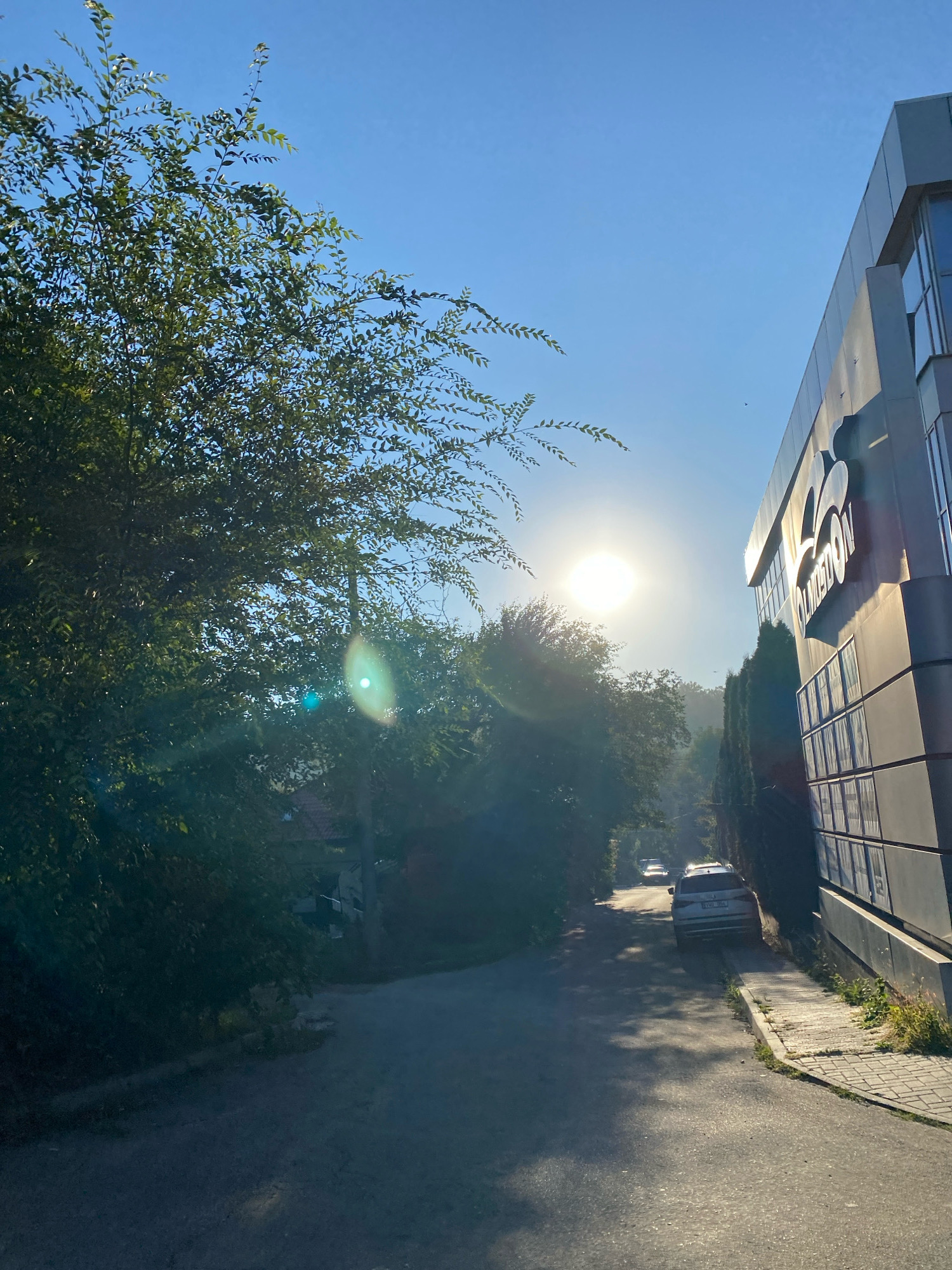 The image depicts a sun-drenched street scene in Chișinău, Moldova, likely during the morning or late afternoon due to the low angle of the sun. The bright sun is positioned in the upper center of the frame, creating lens flare and casting long shadows. A modern building with a grey facade and large windows is visible on the right side of the street, featuring a prominent logo that appears to be "LINEDON" in stylized lettering. To the left of the street, dense green foliage from trees overhangs the road, with some leaves illuminated by the sunlight.
The street itself is paved and appears to be a two-lane road. A silver car is parked on the right side of the road, facing away from the camera. Further down the street, another vehicle is visible, also moving away from the viewer. The right side of the street has a paved walkway or sidewalk, bordered by a low concrete curb. Some grass and weeds are growing alongside the sidewalk. In the background, beyond the immediate street, the scene suggests a residential or mixed-use area with some houses visible through the trees, and a hazy atmosphere, possibly due to morning mist or light pollution. The sky is a clear, bright blue.