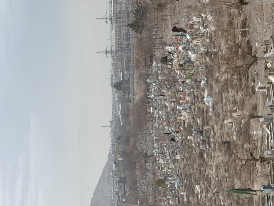 The image displays an expansive outdoor scene located in Quetta City Tehsil, Pakistan, under an overcast sky. The foreground and midground are occupied by a large cemetery containing a high density of graves. Each grave is marked by a tombstone, many of which are painted in varying colors including white, light grey, light blue, orange, red, green, and yellow. Several black, green, and red flags are attached to poles associated with individual graves. The ground within the cemetery is dry and sparsely covered with vegetation, and numerous deciduous trees with bare branches are scattered throughout the area. In the background, an urban settlement is visible, consisting of various buildings. Two large lattice-frame electricity transmission towers with overhead power lines are prominently featured on the right side of the background, adjacent to some larger structures. Distant mountains or hills are visible through a haze beneath the uniform grey sky. No individuals are discernible within the frame.