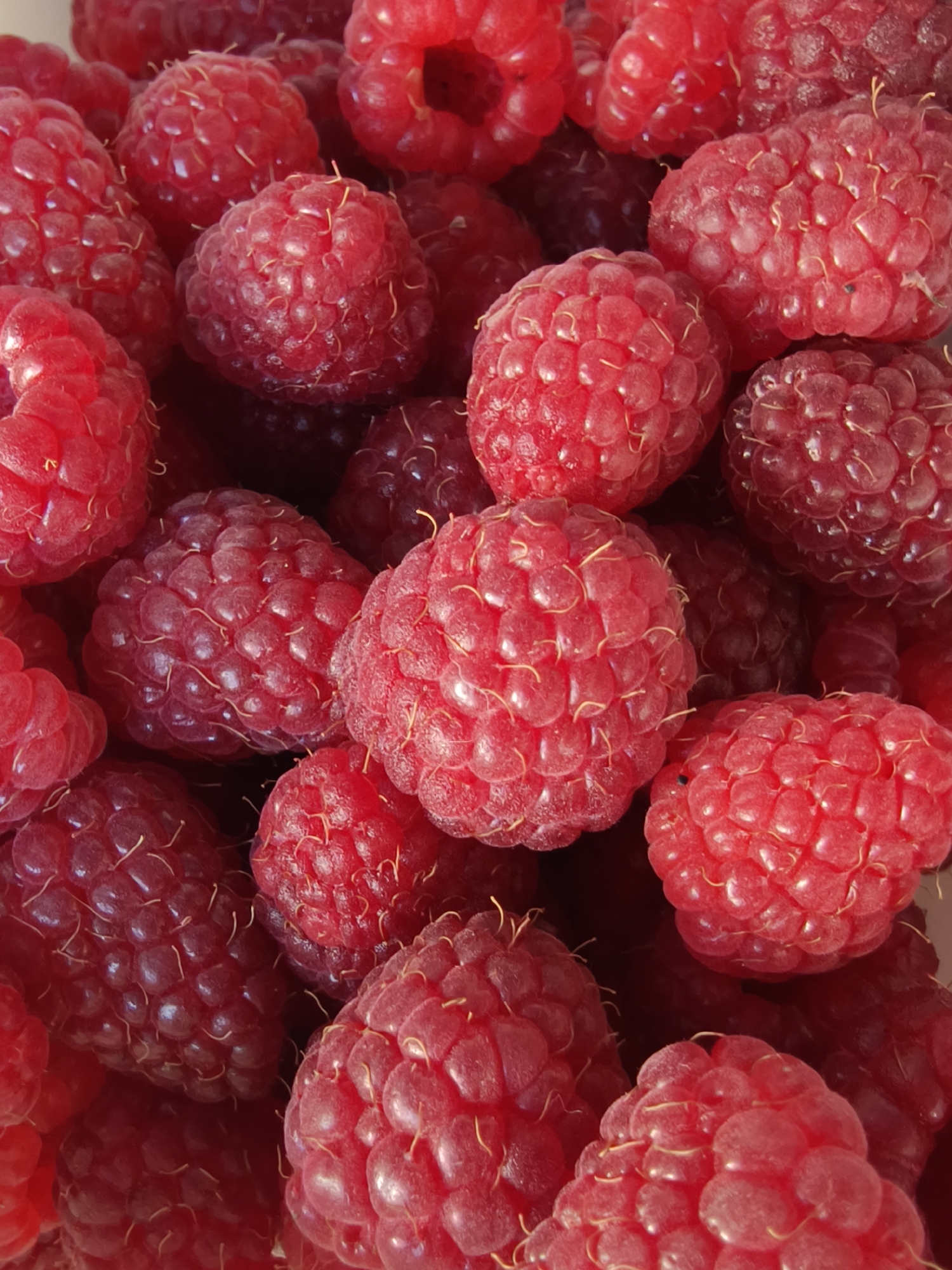 The image displays a close-up, overhead view of a large pile of ripe raspberries. The berries are primarily a vibrant red, with some appearing slightly darker or with hints of pink. They are clustered together, creating a textured surface. Each raspberry is composed of numerous drupelets, giving them their characteristic bumpy appearance. Fine, wispy hairs are visible on the surface of some of the berries. The lighting suggests an indoor setting, with highlights and shadows defining the shapes of the fruit. There are no people, animals, or recognizable structures visible. The exact location in Poltavka, Ukraine is not discernible from the image itself; it solely depicts the fruit.