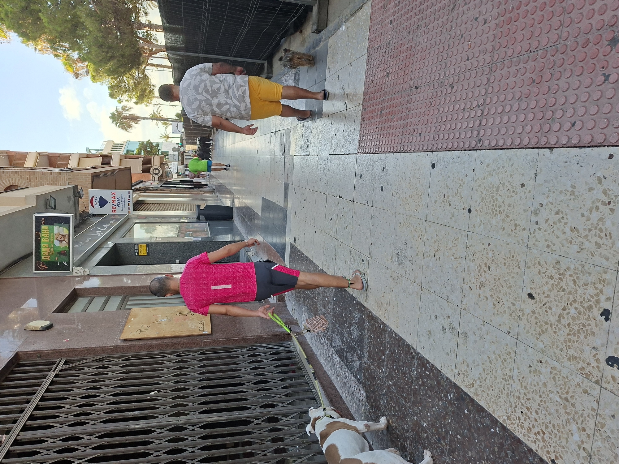 Two men and two dogs are walking on a sidewalk in Torrevieja, Spain. The man in the foreground is wearing a pink shirt and dark shorts and is walking a large white and brown dog. The man in the background is wearing a white and grey floral shirt and yellow shorts and is walking a small brown dog. The sidewalk is paved with light-colored tiles and has a textured red section for accessibility. The buildings in the background are typical of a Spanish coastal town, with balconies and awnings. There are palm trees and other greenery visible. The overall scene suggests a warm, sunny day.