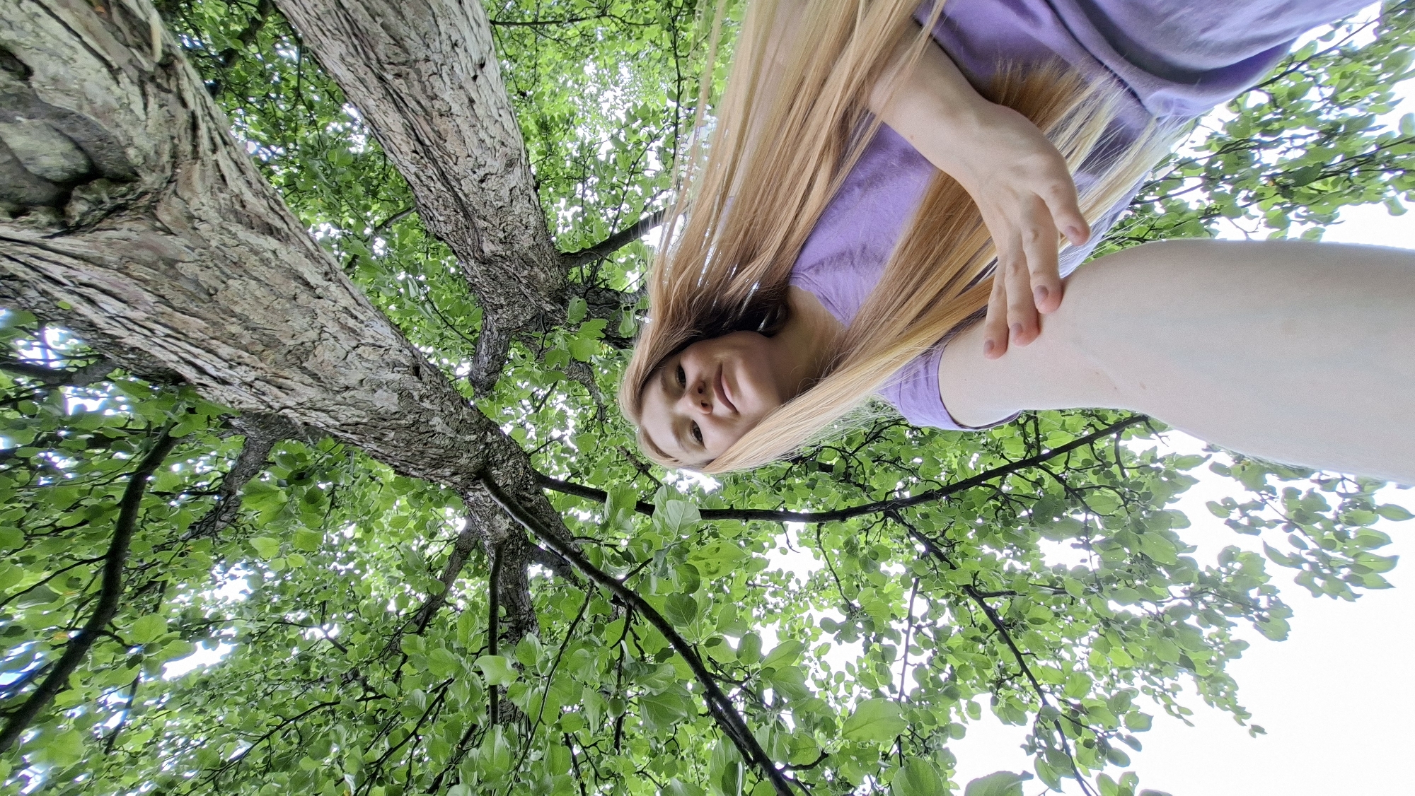 This is a low-angle, wide shot photograph taken from below a large tree, looking upwards. The main subjects are a person and the tree itself, set against a bright, overcast sky. The person, a young woman with long blonde hair, is positioned in the upper right quadrant of the frame. She is wearing a lavender t-shirt and her head is tilted back, looking towards the camera. Her right hand is extended, resting on her left arm. Her facial expression is neutral, perhaps a little contemplative.
The tree dominates the left side and center of the image. Its trunk is thick and gnarled, with rough, textured bark. The branches spread out widely, covered in abundant green leaves that form a dense canopy, allowing dappled light to filter through. The leaves are lush and appear healthy, suggesting it is likely late spring or summer. The upward perspective creates a sense of looking up from the base of the tree, as if the photographer is lying on the ground beneath it.
The overall mood is peaceful and natural. The time of day appears to be daytime, given the bright sky, but the overcast conditions diffuse the light, preventing harsh shadows. There are no discernible location cues apart from the general natural setting of a tree and sky. No visible text is present in the image. The location context provided is Большой Букор, Russia.
