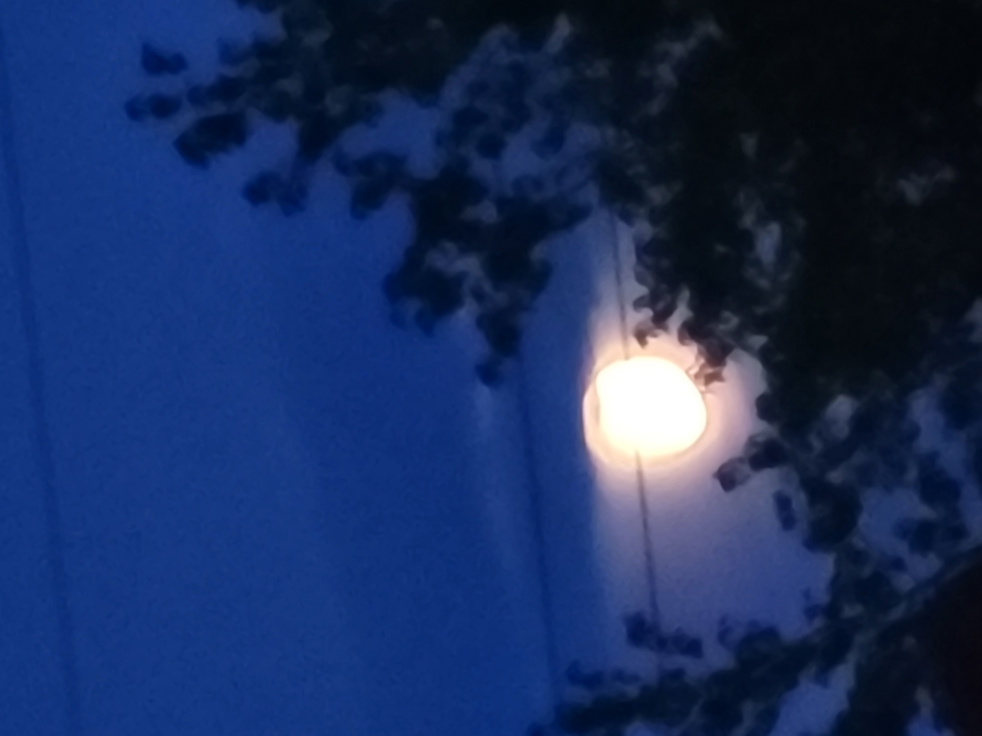 The image depicts a night sky with a bright, out-of-focus light source, possibly a full moon or a street lamp, positioned centrally in the frame. Dark, silhouetted foliage, likely from trees, frames the right and lower portions of the image, partially obscuring the sky. A thin, dark line, possibly a utility wire, runs horizontally across the frame, intersecting the light source. The sky is a deep blue, suggesting twilight or night. There are no people or discernible urban structures visible in this photograph, making it impossible to determine its specific location within Jelgava, Latvia. The overall impression is one of a natural scene under artificial or celestial illumination at night.