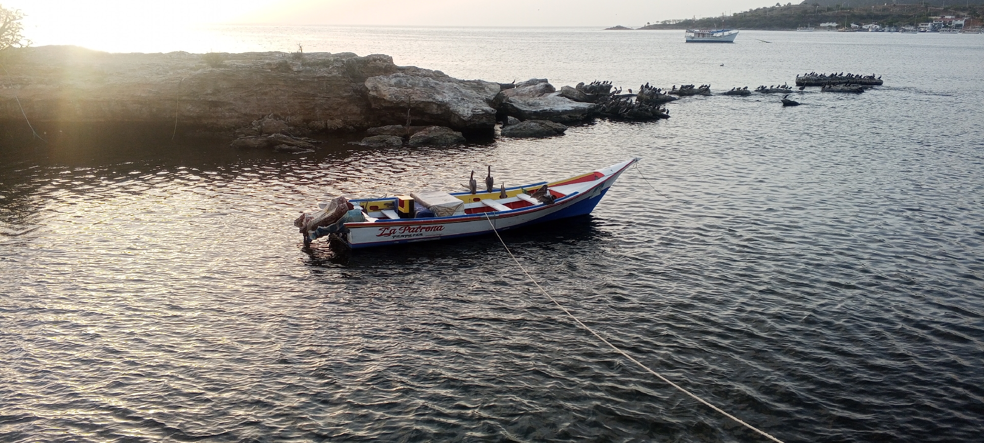 This image captures a serene coastal scene in Juan Griego, Venezuela, likely during the late afternoon or early morning given the soft sunlight glinting off the water. In the foreground, a small, colorful fishing boat, named "La Patrona," is anchored, its white hull trimmed with red, yellow, and blue. Two pelicans are perched on its stern. The boat is tethered to shore by a thick rope.
Behind the boat, a rocky outcrop emerges from the water, densely populated with numerous pelicans, their dark forms creating a stark contrast against the lighter rocks. The water itself is calm, with gentle ripples reflecting the sky and the sunlight.
In the middle ground, further out in the bay, another larger white boat sails peacefully. The background reveals the hazy outline of the coastline of Juan Griego, with buildings and hills visible in the distance. The overall impression is one of tranquility and natural beauty, characteristic of a coastal town.