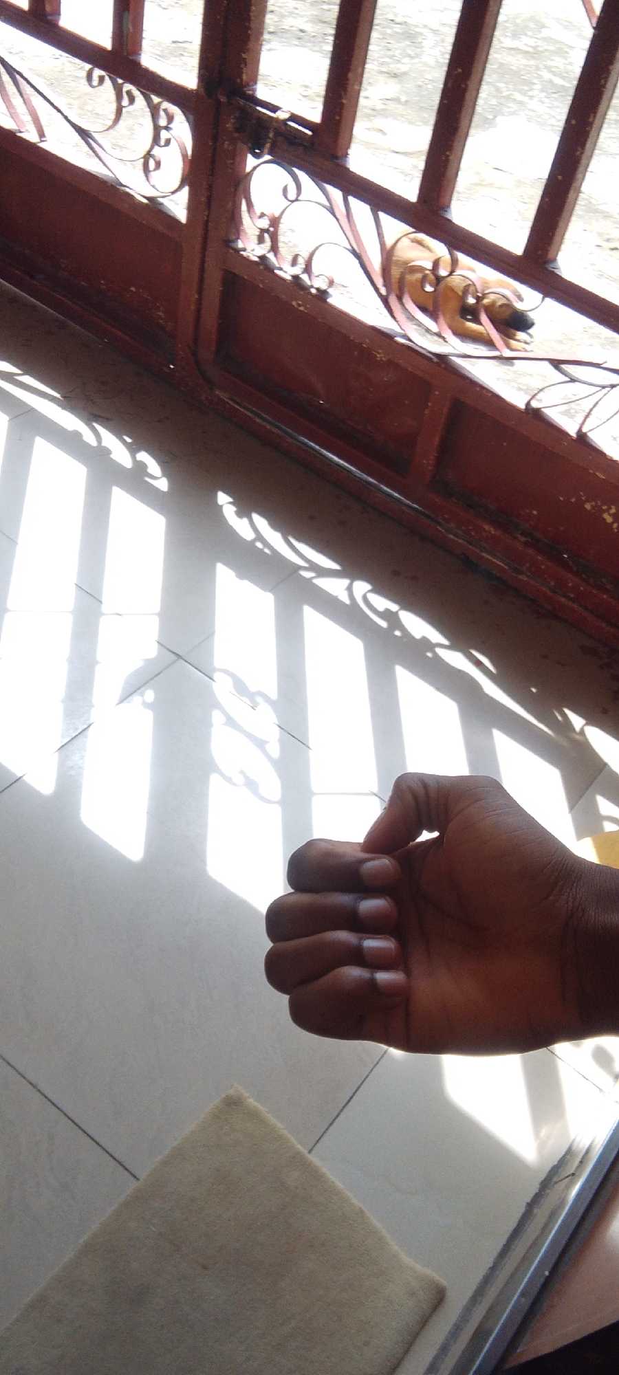 The image shows a hand with clenched fingers on a tiled floor. Sunlight casts shadows of a fence onto the floor. In the background, a dog lies down behind the fence. The scene appears to be outdoors, possibly in a yard or patio area.