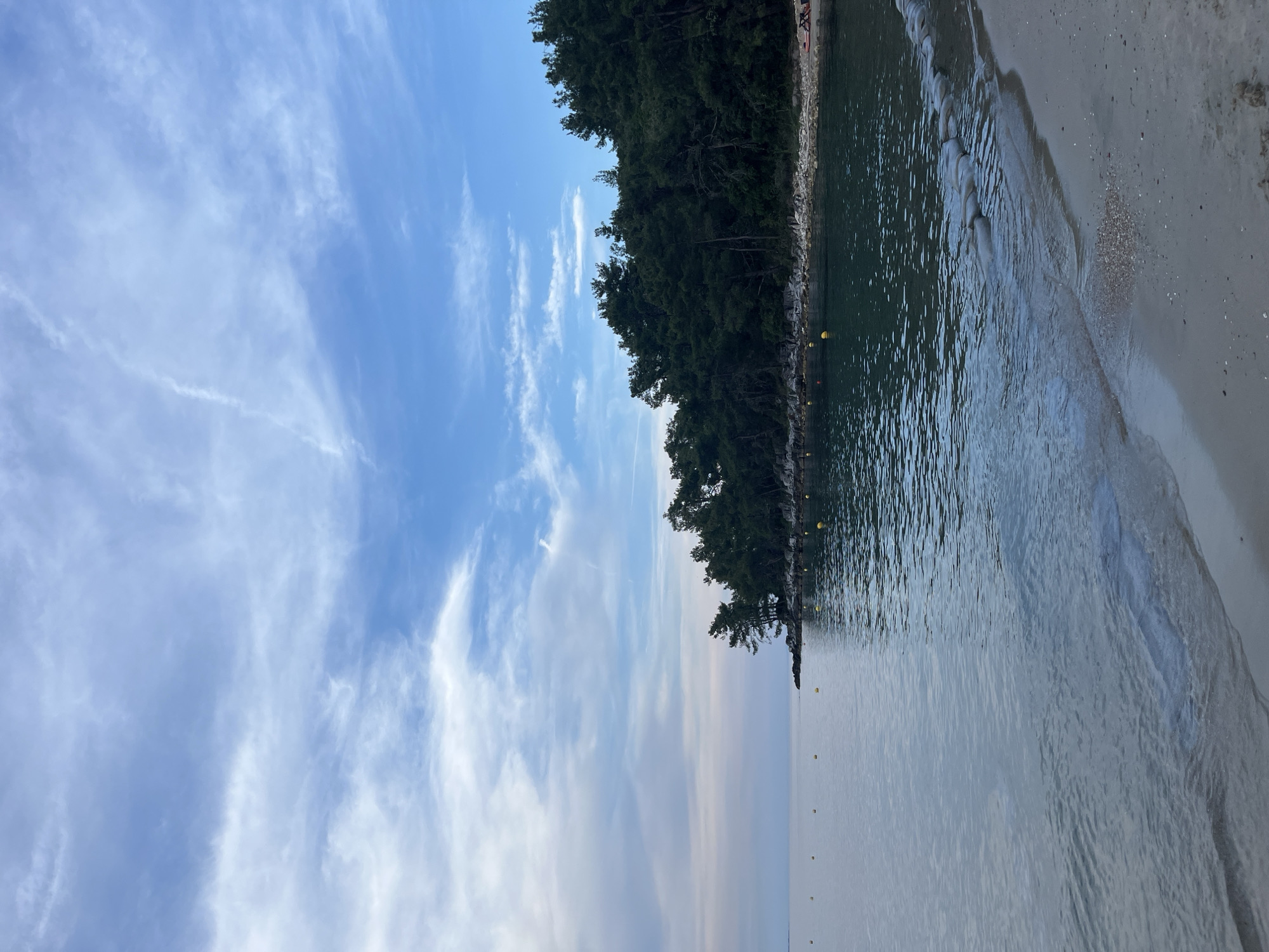 The image depicts a tranquil beach scene on the island of Thassos, Greece, likely during the late afternoon or early evening. The foreground features a sandy beach with gentle waves lapping at the shore. The water is calm and reflects the sky, which is a blend of soft blues and whites with scattered clouds.
To the left, a line of yellow buoys stretches across the water, indicating a designated swimming area or a boundary. The middle ground showcases a rocky coastline densely covered with dark green pine trees, characteristic of the Mediterranean landscape. These trees form a thick forest that slopes down towards the water's edge. A few scattered rocks are visible along the shoreline.
In the far background, the horizon is a soft gradient of muted blues and pinks, suggesting the approaching twilight. There are no people clearly visible in the immediate foreground or on the beach, but a red object resembling a lounge chair or a flotation device can be seen further up on the forested embankment. The overall atmosphere is serene and natural, highlighting the beauty of the Aegean coast.