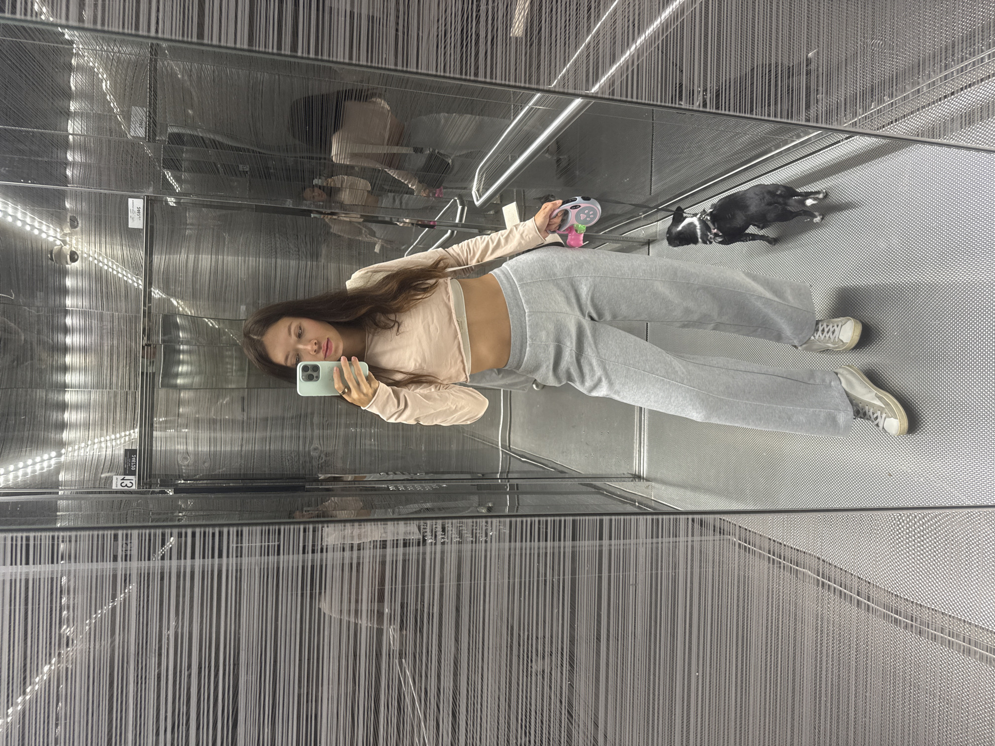 A young woman with long brown hair is taking a mirror selfie in an elevator. She is wearing a cropped, long-sleeved pink shirt and grey sweatpants. She is holding a light blue smartphone in her right hand and a retractable dog leash in her left. A small black and white dog is standing next to her. The elevator has mirrored walls with a horizontal ribbed pattern and stainless steel handrails. The floor is metallic with a dotted texture. The overall impression is of a modern, clean, and somewhat sterile environment.