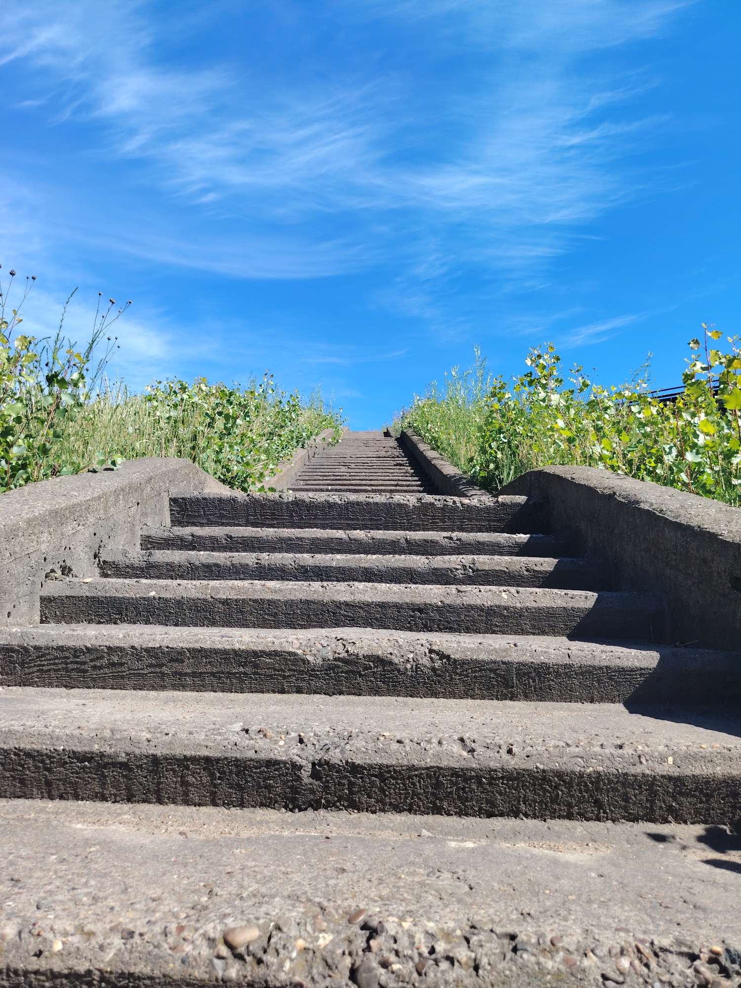 An outdoor, low-angle, full shot captures a long, steep concrete staircase leading upwards towards a bright blue sky with wispy white clouds. Green foliage, appearing to be tall grass and leafy plants, grows along the sides of the staircase and the embankment above. The concrete steps are weathered and textured, showing signs of age and wear. The scene appears to be located in the city of Chaikovsky, Russia, possibly on an embankment or hill overlooking a body of water or urban area, though no specific landmarks are identifiable. There are no people or animals visible in the image.