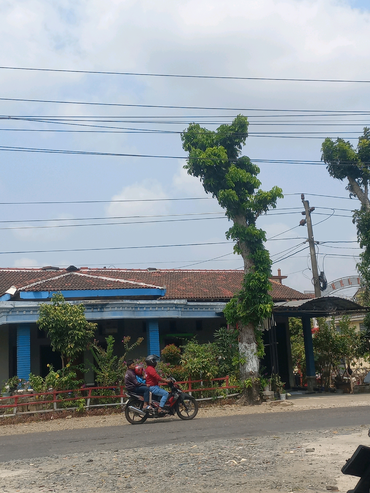 Two individuals are riding a black and red motorcycle on a paved road in Baturetno, Indonesia. The person in the front is wearing a red shirt and blue jeans, and a black helmet. The person behind them is wearing a dark jacket and a red helmet. They are traveling from right to left in the frame.
To the left of the road is a building with a tiled roof and blue trim. In front of the building is a red fence and lush green vegetation. Several trees are visible, including one in the foreground that is heavily covered in green vines and has a white painted base. Power lines are strung across the sky above the scene, supported by wooden poles. The sky is partly cloudy with a clear blue sky visible in some areas. The ground on the side of the road is covered in gravel and small stones.