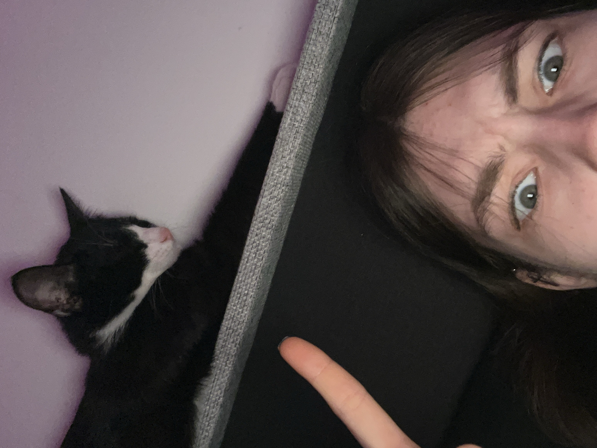 A close-up, off-kilter shot features a person's face (likely female) with dark hair and light eyes, positioned on the right side of the frame. To the left, a black and white cat is visible, seemingly resting against a grey upholstered surface. A finger is pointing towards the upholstered surface. The environment consists of a light purple or pink wall behind the cat. The location is not discernible.