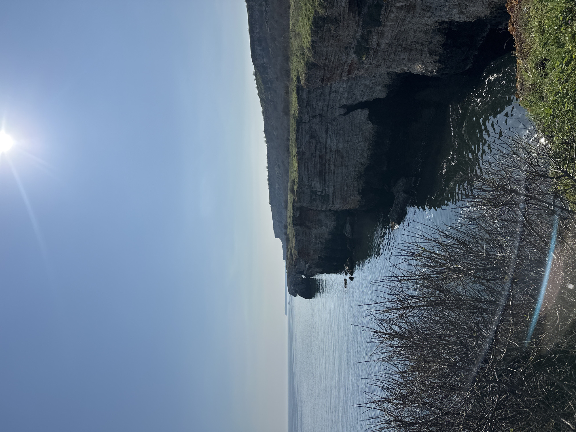 The image depicts a coastal scene at Kamen Bryag, Bulgaria. A rocky cliff face, partially covered with sparse vegetation, drops vertically into the Black Sea. The water is calm and reflects the sky. In the foreground, bare tree branches obscure part of the view. The sky is clear and bright with the sun visible in the upper left. No people are visible in the image.