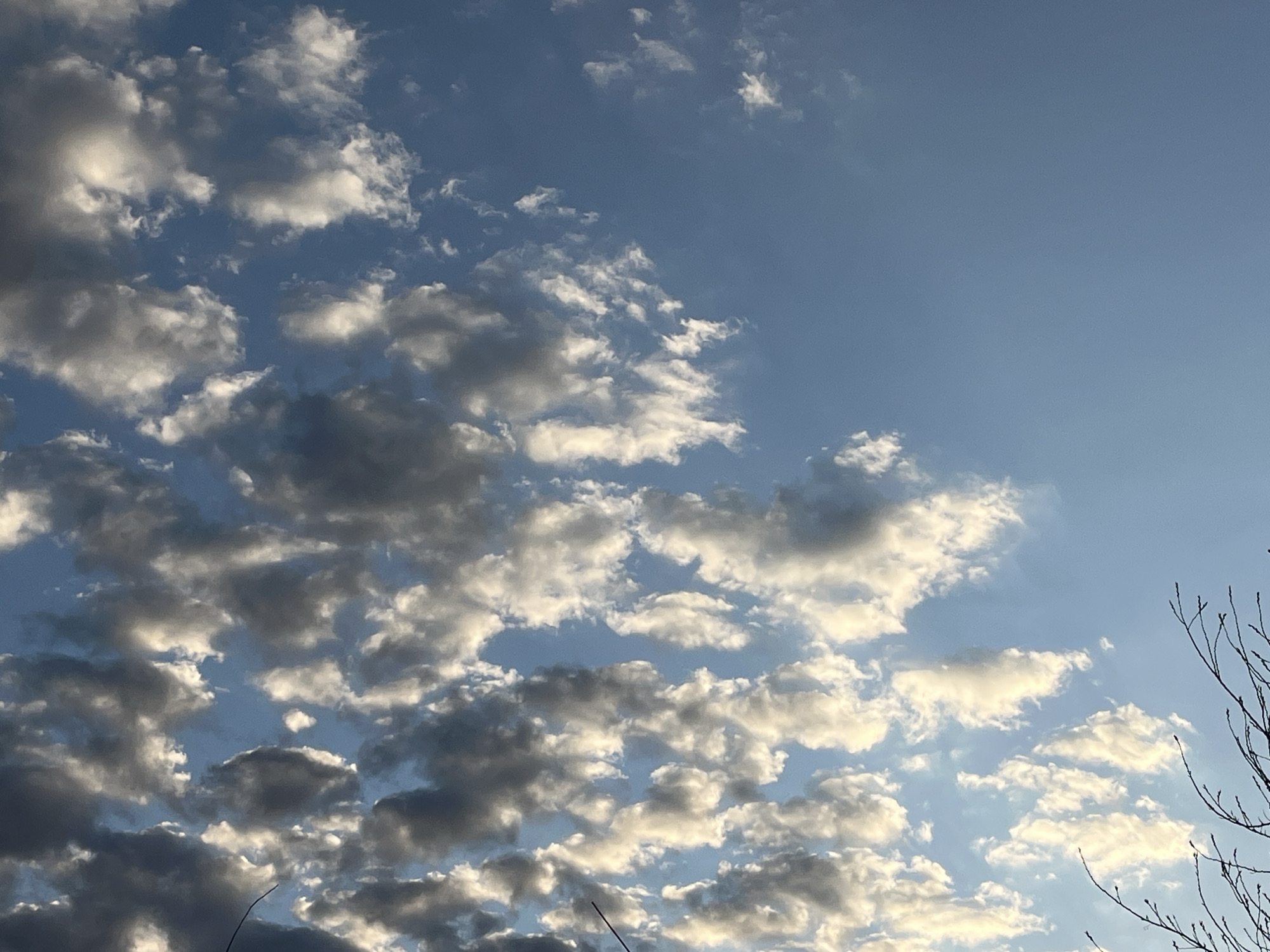 The image shows a daytime sky with scattered cumulus clouds. The sky transitions from a deep blue in the upper right to lighter blue with increasing cloud cover towards the left. The clouds are a mix of white and gray, indicating varied density and light exposure. Bare tree branches are visible in the lower right corner, suggesting a winter or early spring season. There is no indication of this image being specifically located in the city of Pavlovka, Russia, or any other place, as the sky and branches do not contain unique or identifiable features. There are no people, subjects, objects, or interactions explicitly depicted in the image beyond the clouds and branches.