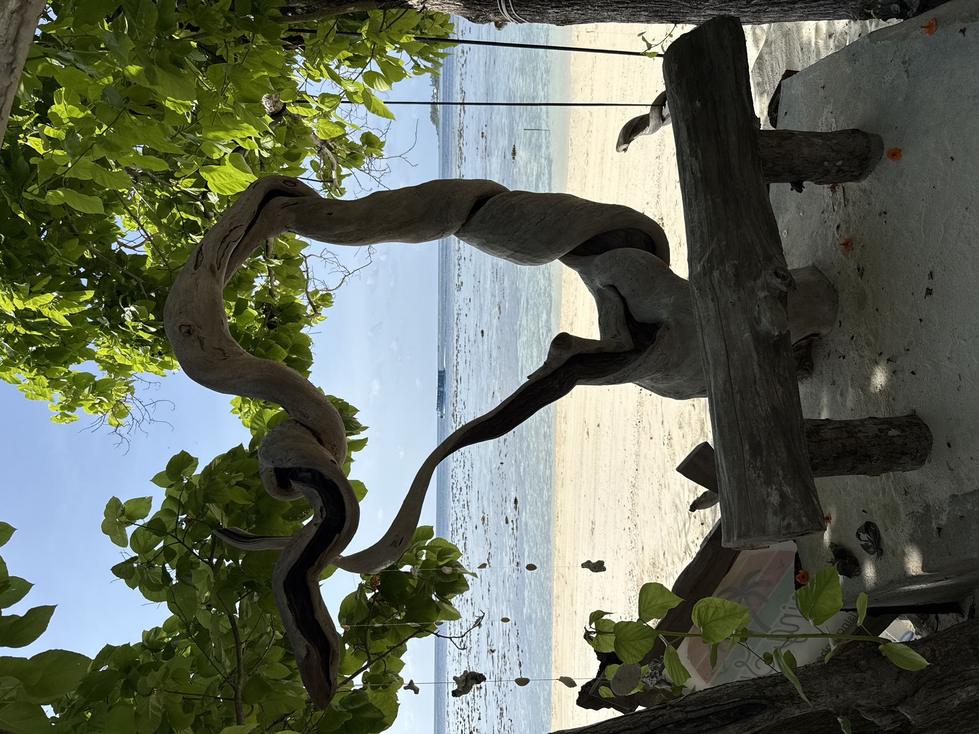 The image depicts a serene beach scene in Felidhoo, Maldives, with the foreground dominated by the twisted trunk of a tree and lush green foliage. The tree's weathered wood and gnarled branches create an artistic, sculptural element within the frame. Sunlight filters through the leaves, casting dappled shadows. Beyond the tree, a calm, turquoise ocean stretches towards the horizon, meeting a light-colored sandy beach. In the distance, a small boat can be seen on the water, and faint outlines of what might be islands or larger vessels are visible further out. The beach is dotted with what appear to be small, decorative objects made of shells or stones, strung on lines that are partially visible.
The scene suggests a peaceful, tranquil atmosphere, likely during daylight hours given the bright sunlight and clear sky. The presence of the boat implies some human activity, but the overall mood is one of quiet relaxation and natural beauty. There is no visible text in the image. The composition, with the foreground organic elements framing the ocean view, highlights the natural beauty of the tropical location.