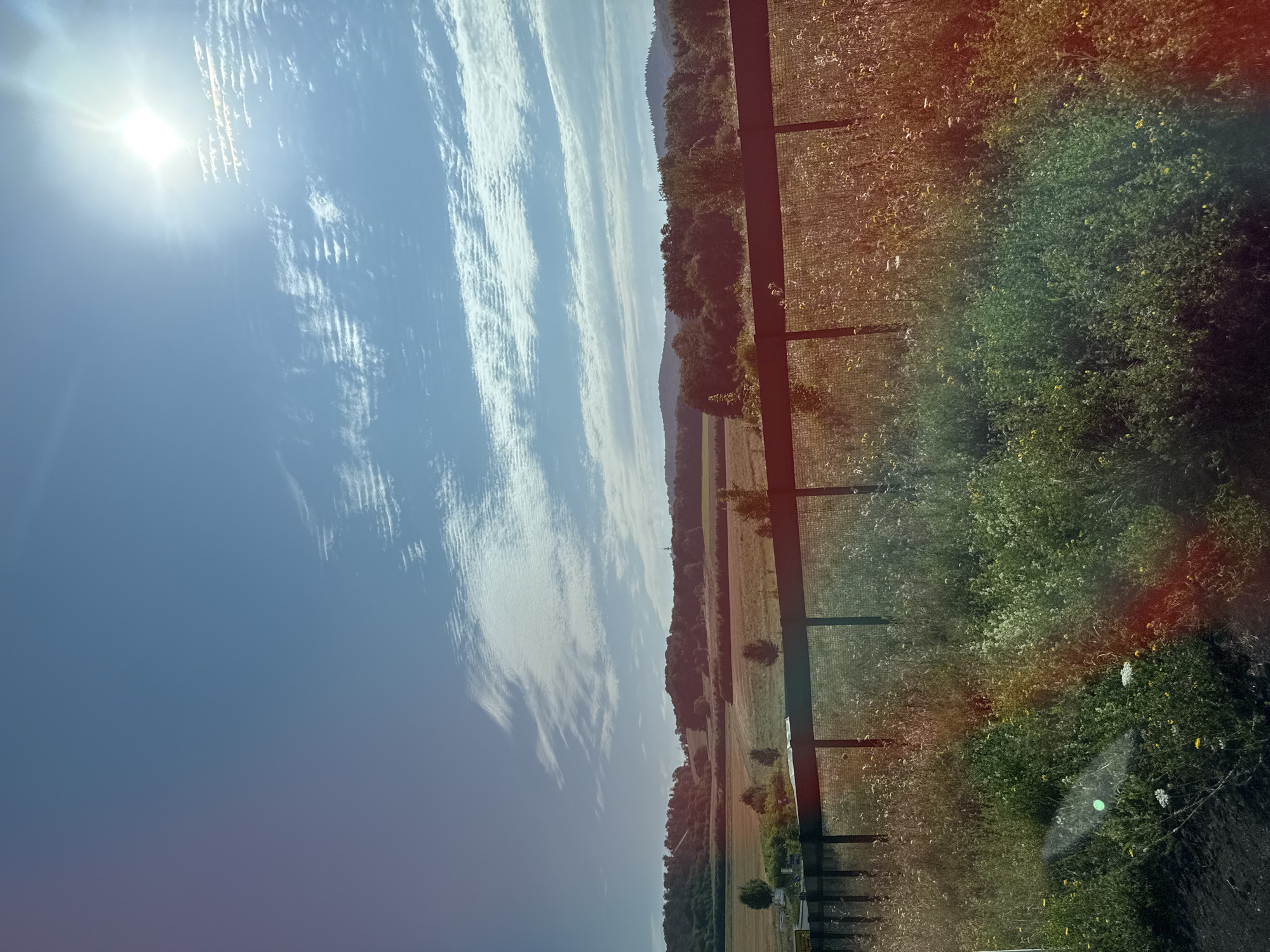A sunny day is depicted in a rural landscape that appears to be in or near the city of Bad Lauterberg im Harz, Germany. The sky is bright blue with wispy white clouds and a strong sun with lens flare in the upper right corner. A dark wooden fence runs horizontally across the midground, separating a field of tall grasses and wildflowers in the foreground from a cultivated field and a treeline in the background. The background features rolling hills covered in trees, with a few structures visible on the horizon, possibly in the distance. The overall scene is one of natural beauty and tranquility.