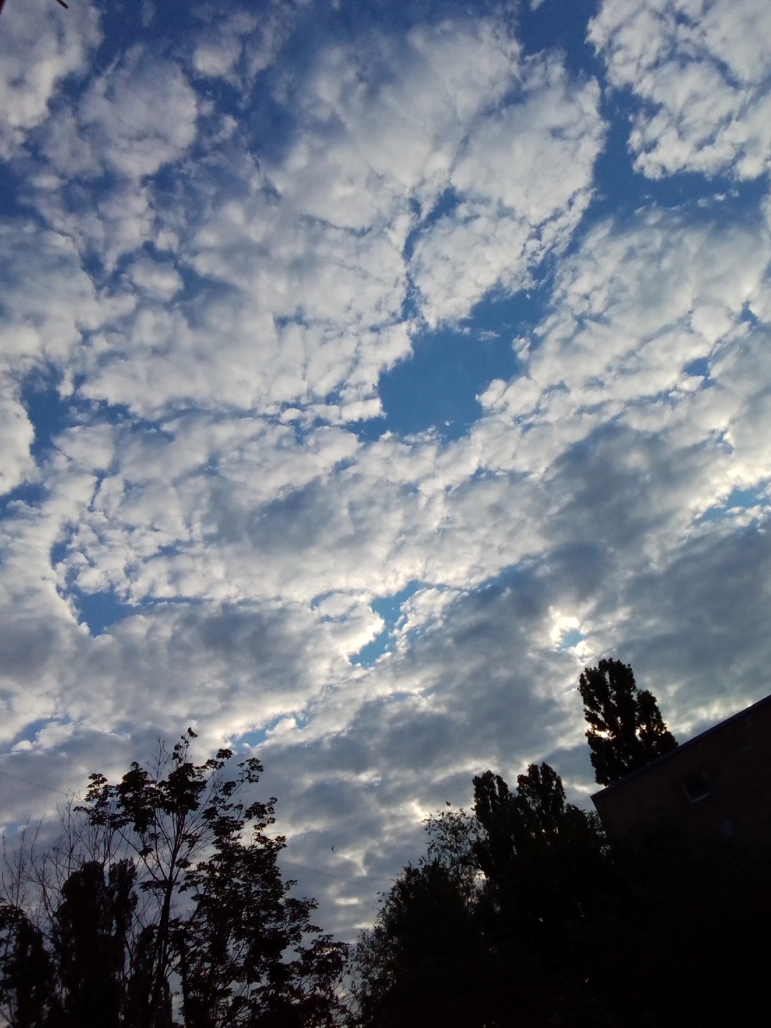The image depicts a sky filled with scattered, fluffy clouds against a deep blue background. The clouds are illuminated by sunlight, creating patches of bright white and areas of shadow. In the lower portion of the image, silhouetted trees with dense foliage and bare branches are visible. To the right, a portion of a brick building with a window is seen. The overall scene suggests an outdoor environment, possibly during daytime, with a mix of natural elements and man-made structures.