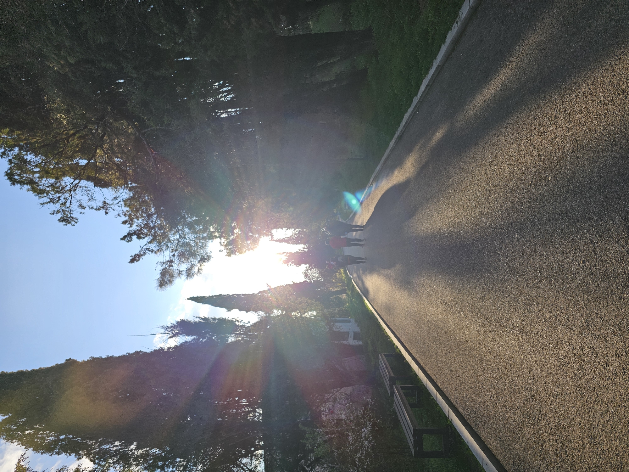 The image shows a sunlit asphalt path bordered by green grass and trees, likely a park setting. People are walking along the path towards the sun. A wooden bench is visible to the side of the path. The location is in Stara Zagora, Bulgaria.