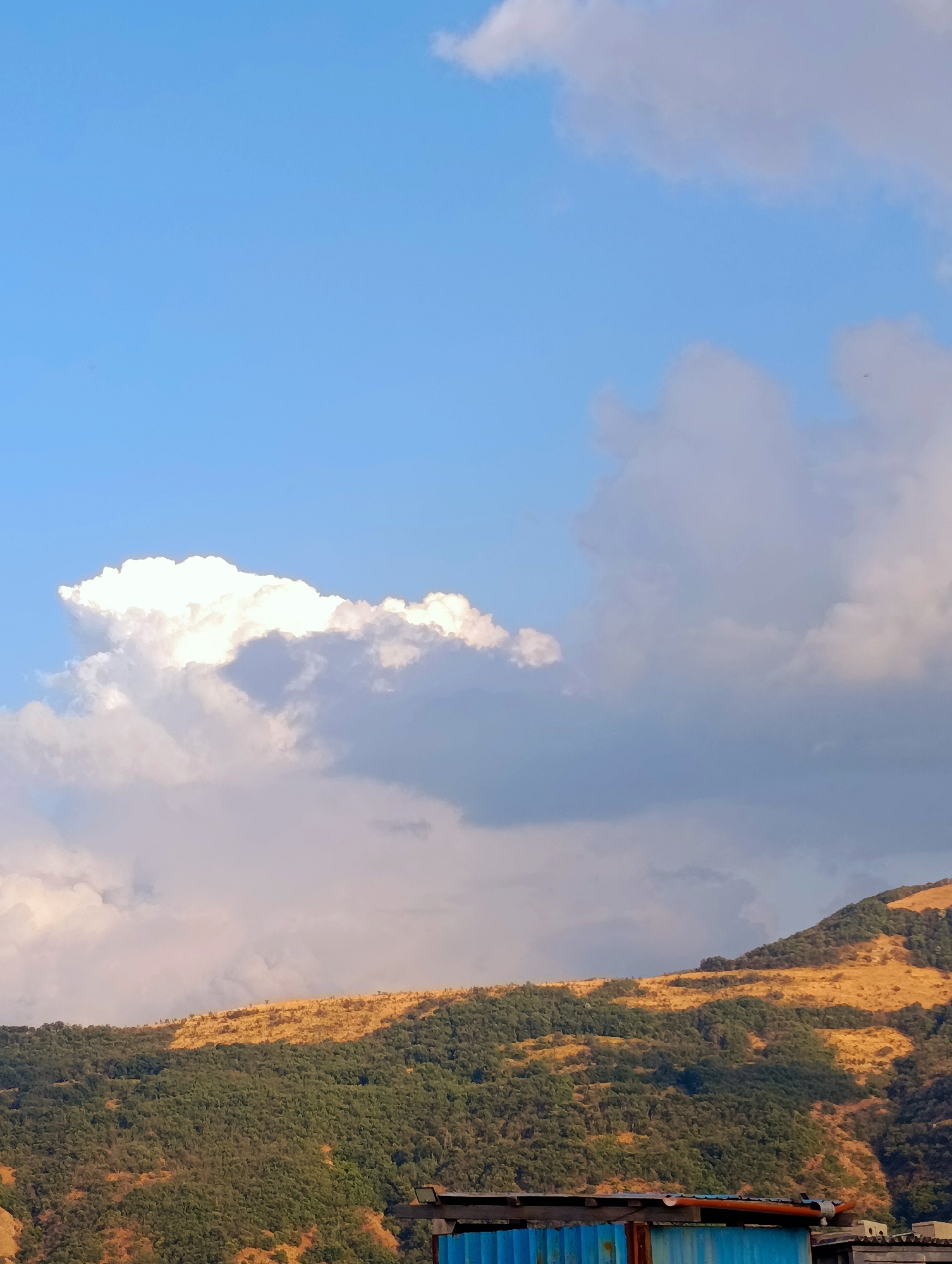 The image depicts a landscape with a prominent hill covered in lush green trees and patches of golden grass. The hill slopes upwards towards the right, with its peak partially obscured by clouds. In the foreground, a blue corrugated metal structure with an orange trim is visible, suggesting human presence or a constructed area within the natural environment. The sky above is a vibrant blue, dotted with fluffy white and gray clouds, indicating a dynamic weather condition. The scene captures a rural or semi-rural setting, likely in or around Shiroko pole, Bulgaria, given the mountainous terrain and vegetation typical of such regions. There are no people or animals clearly visible in the image, focusing the viewer's attention on the natural elements and the man-made structure.