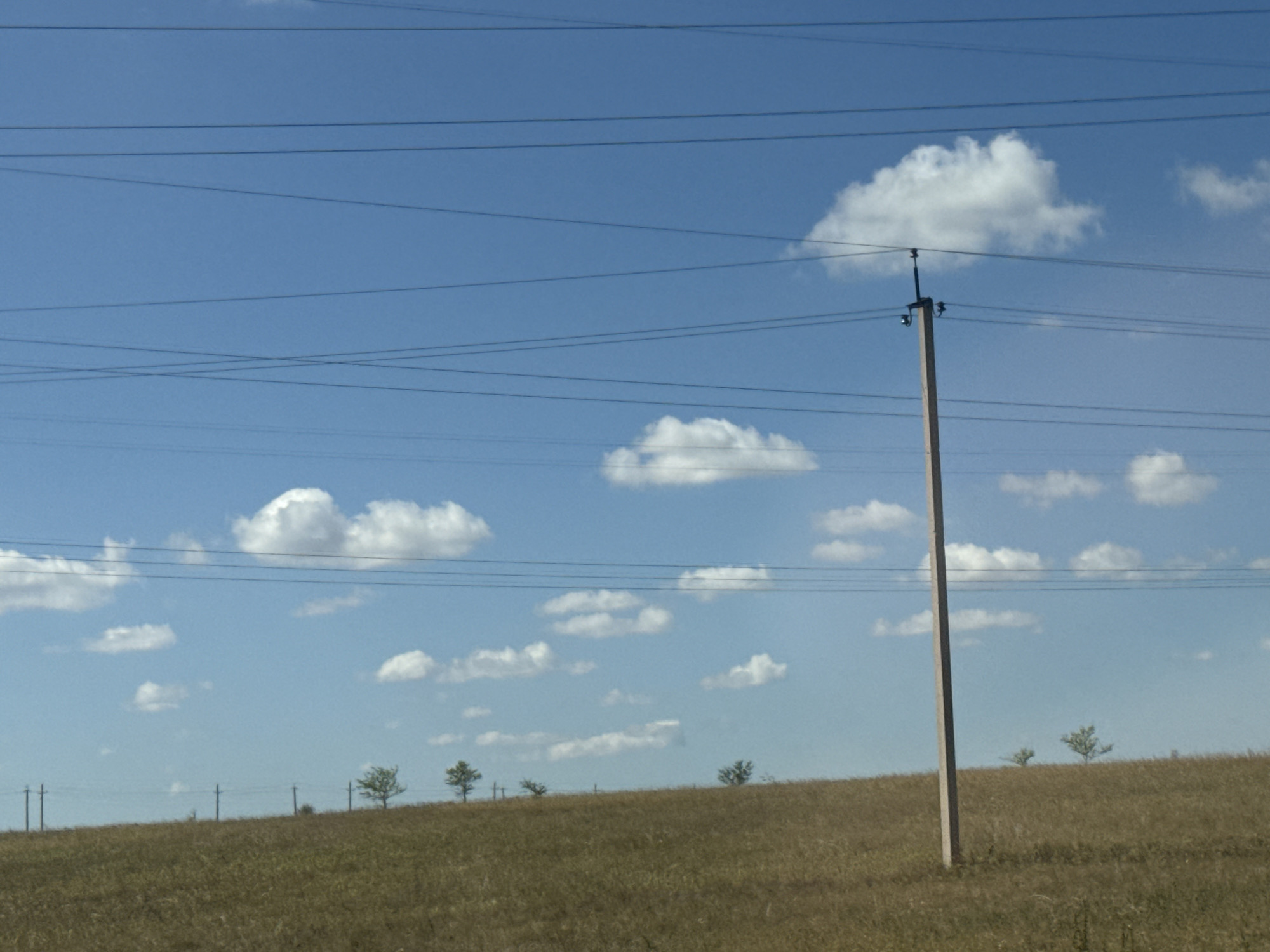 The image shows a wide, open landscape under a bright blue sky with scattered white clouds. In the foreground, a grassy, gently sloping hill dominates the lower portion of the frame. Several thin, dark power lines crisscross the sky horizontally. A single, tall, light-colored utility pole with dark insulators stands prominently on the right side of the image, breaking the expanse of the sky. In the distance, the horizon line is marked by the subtle undulation of the terrain and a sparse scattering of small trees and what appear to be other utility poles or posts. The scene appears to be rural and undeveloped, consistent with the outskirts of Gamaleevka-1, Russia, under daylight conditions. There are no people or animals visible in the image.