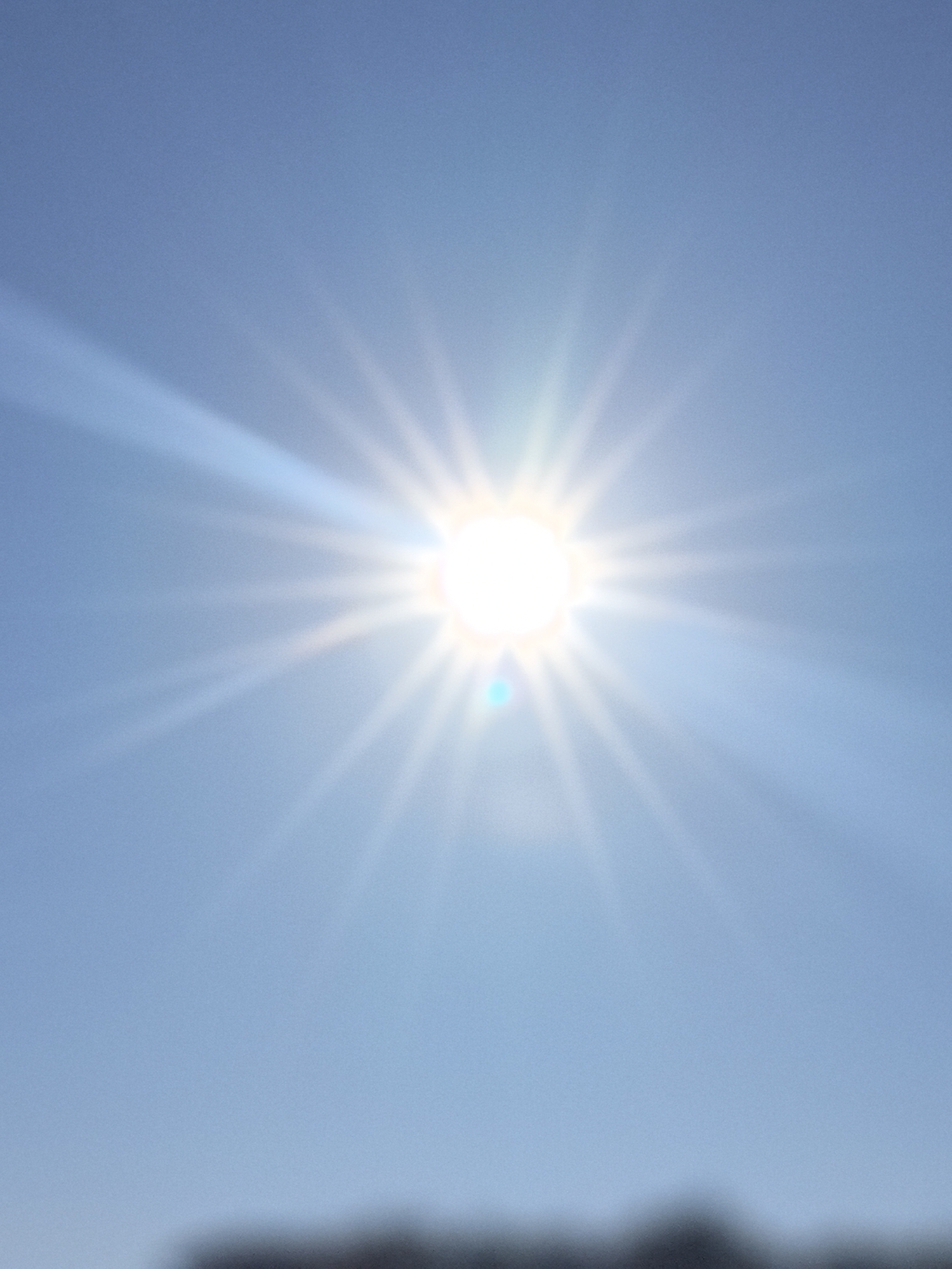 The image is a vertical, full-frame shot of a bright sun with visible rays, shining in a clear blue sky. The sun is positioned slightly to the left of the center. A faint, circular lens flare, appearing as a greenish-blue spot, is visible to the left and slightly below the sun. The bottom of the frame shows a blurred, dark silhouette of trees or the tops of buildings, suggesting a horizon line. The overall impression is of a sunny day. This scene is consistent with an outdoor environment in Калодзішчанскі сельскі Савет, Belarus, during daylight hours. There are no people, specific objects, or actions depicted, and no interactions are occurring. The environment is an open sky with a visible sun and a blurred foreground.