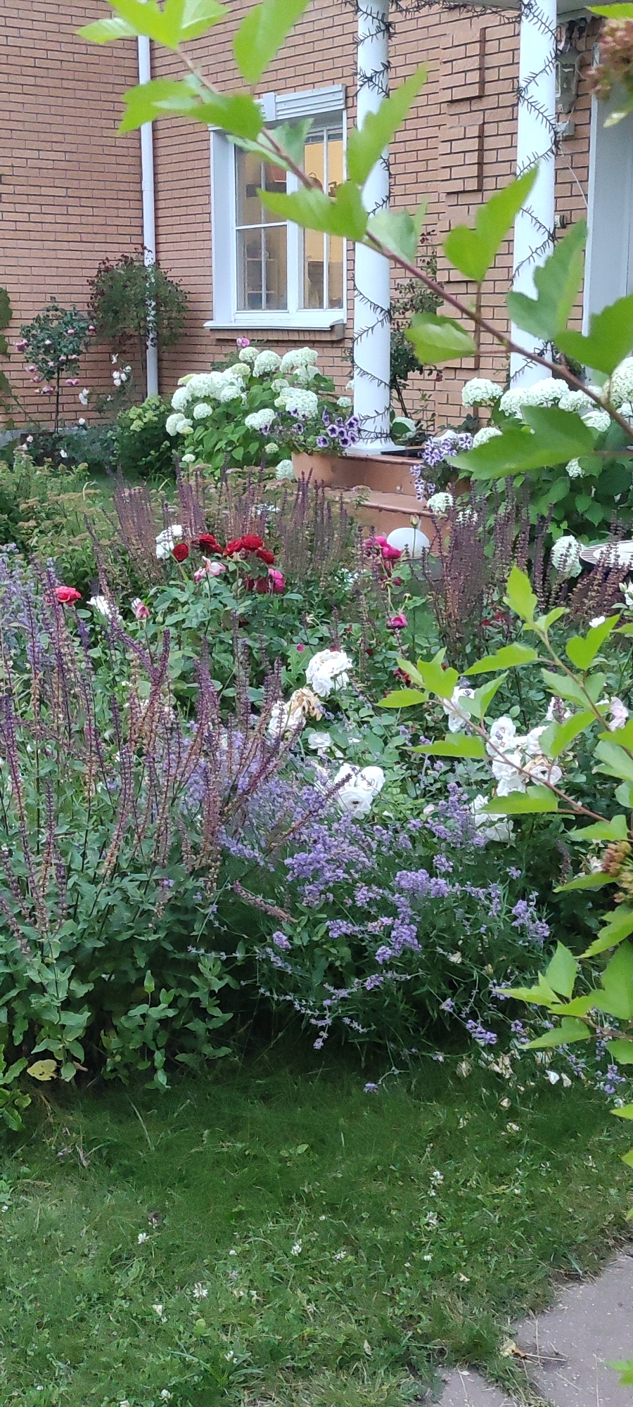 The image depicts a lush garden scene in front of a brick house, possibly in the city of Rosinka, Russia. The garden is densely planted with a variety of flowers, including red and white roses, white hydrangeas, and smaller purple and lavender blooms. Tall, spikey purple flowers are interspersed throughout the foreground. In the background, a white-framed window is visible on the brick house, which also has white columns wrapped in string lights. Green foliage from nearby trees partially obscures the view. The ground in the foreground is covered in green grass with scattered small white flowers. The overall impression is one of a vibrant and well-maintained garden.