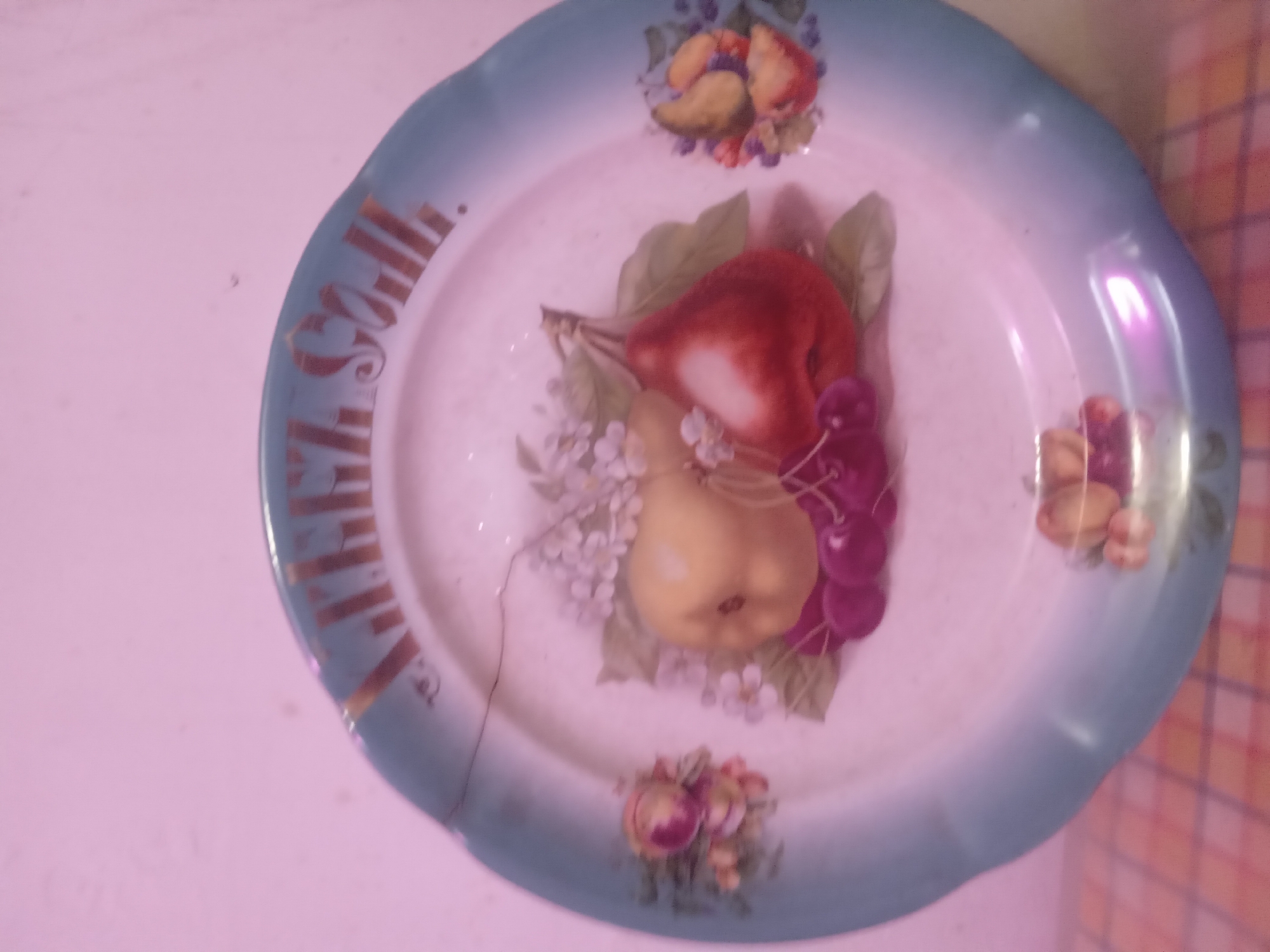 A ceramic decorative plate is depicted, viewed from a slightly elevated angle. The plate features a light blue outer rim that transitions into a white central area. Gold lettering, approximately 1.5 cm in height, is inscribed along the blue rim, reading "AMELIA SO.LL." with a distinct period after the 'O' and between the 'L's. The central white field of the plate is adorned with a painted still life of fruits and flowers. This arrangement includes a light yellow, round fruit resembling an apple or pear, a reddish, teardrop-shaped fruit resembling a pear, and several dark red/purple cherries. These fruits are accompanied by small clusters of white blossoms and green leaves. Additional smaller clusters of various fruits and blossoms are painted on the inner border of the white area: one on the left, one on the right, and one at the bottom. A prominent crack, approximately 12 cm in length, originates from the upper left edge of the blue rim and extends inward across the white portion of the plate. The background consists of a plain, light pink wall in the upper half of the image, while the lower half reveals a plaid-patterned surface in shades of red, orange, and yellow, on which the plate rests. The location is unknown based on the provided image content.
