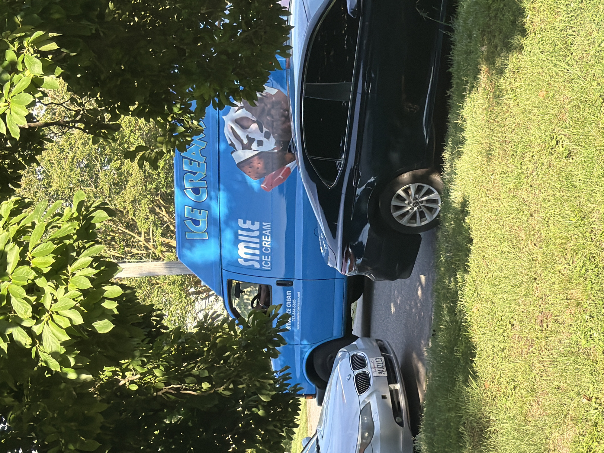 An eye-level, outdoor, medium shot shows a blue ice cream truck parked on a street on a sunny day. The truck is adorned with text that reads "SMILE ICE CREAM" and a graphic of a large ice cream cone. The truck is partially obscured by the branches of a large, leafy tree in the foreground. To the left of the truck, a silver BMW sedan is parked, and to the right, a dark sedan is partially visible. The scene is set against a backdrop of lush green grass and trees, with a wooden utility pole visible behind the truck. The license plate of the BMW reads "9AUZ113".
