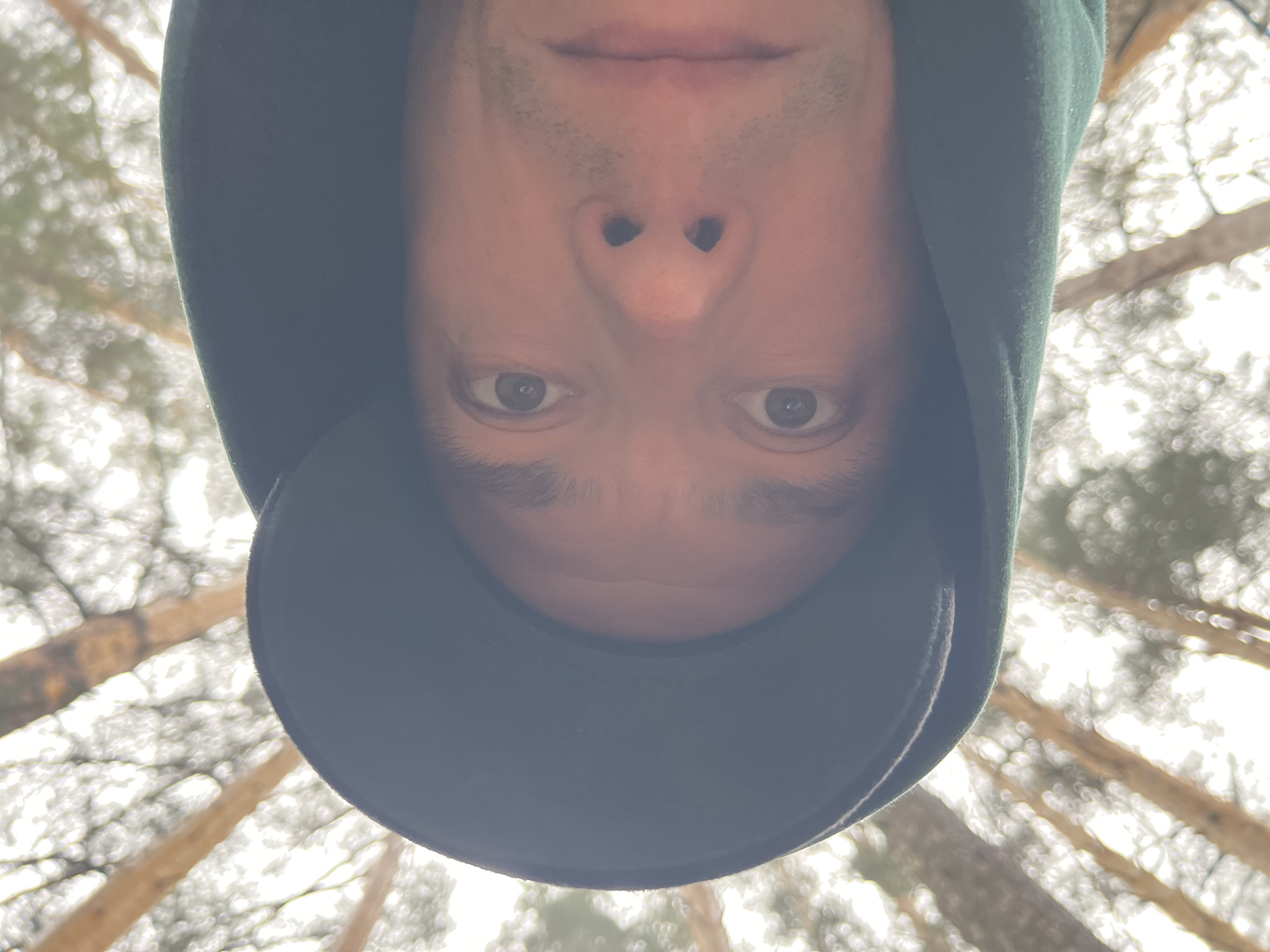 The image is an upside-down selfie of a man in a dark green hooded jacket and baseball cap. The man's face is centered in the frame. The background consists of tall trees with sparse foliage, suggesting a forest setting. Based on the prompt specifying Chaikovsky, Russia, the location is likely a forested area within or near the city. The lighting is overcast, creating a soft, diffused light.