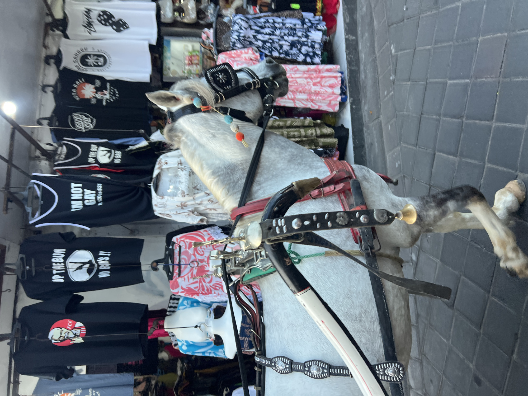 A white horse, harnessed to a carriage, stands on a cobblestone street in Kuta, Indonesia. The horse is adorned with colorful pom-poms and a bell. Behind the horse, a market stall displays various t-shirts and clothing items, including some with humorous graphics. The stall features a variety of tops and dresses in different patterns and colors, suggesting a vibrant retail environment. The scene captures a typical street view of Kuta, known for its bustling markets and tourist attractions.