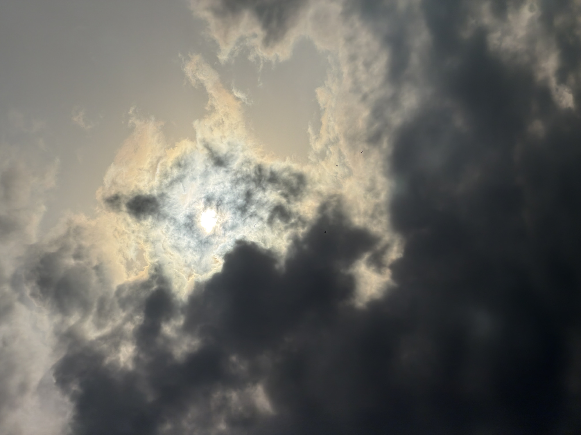 The image shows a cloudy sky with a break in the clouds allowing sunlight to partially shine through. Some small dark objects, possibly birds, are visible in the break in the clouds. The location, Chaikovsky, Russia, is not apparent from the visual content.