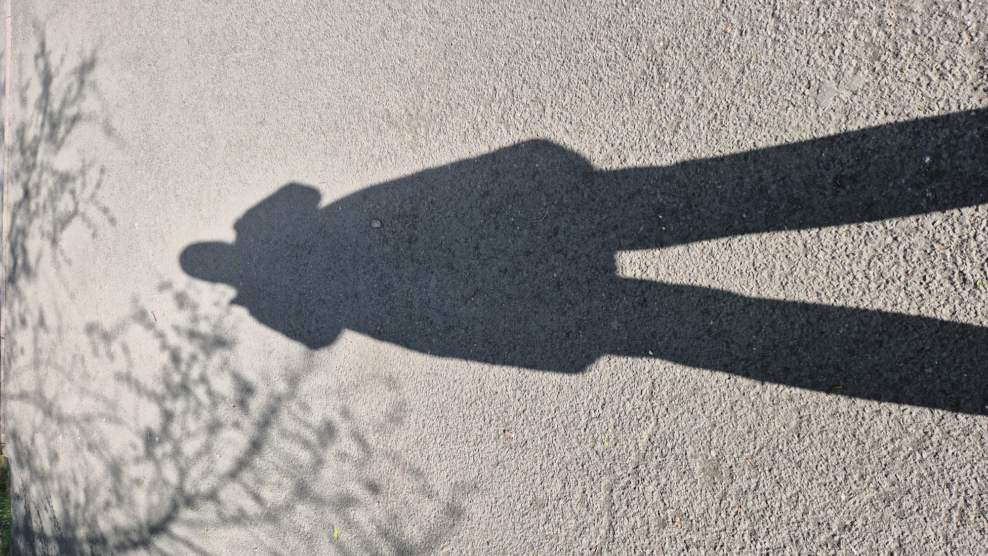 The image depicts a shadow of a person cast on a paved surface. The person's shadow indicates they are wearing a hat or some head covering and have a long coat or jacket. The shadows of tree branches are visible on the left side of the image. The paved surface is coarse. The image does not provide enough information to ascertain that the image was taken in the city of Kemerovo, Russia.