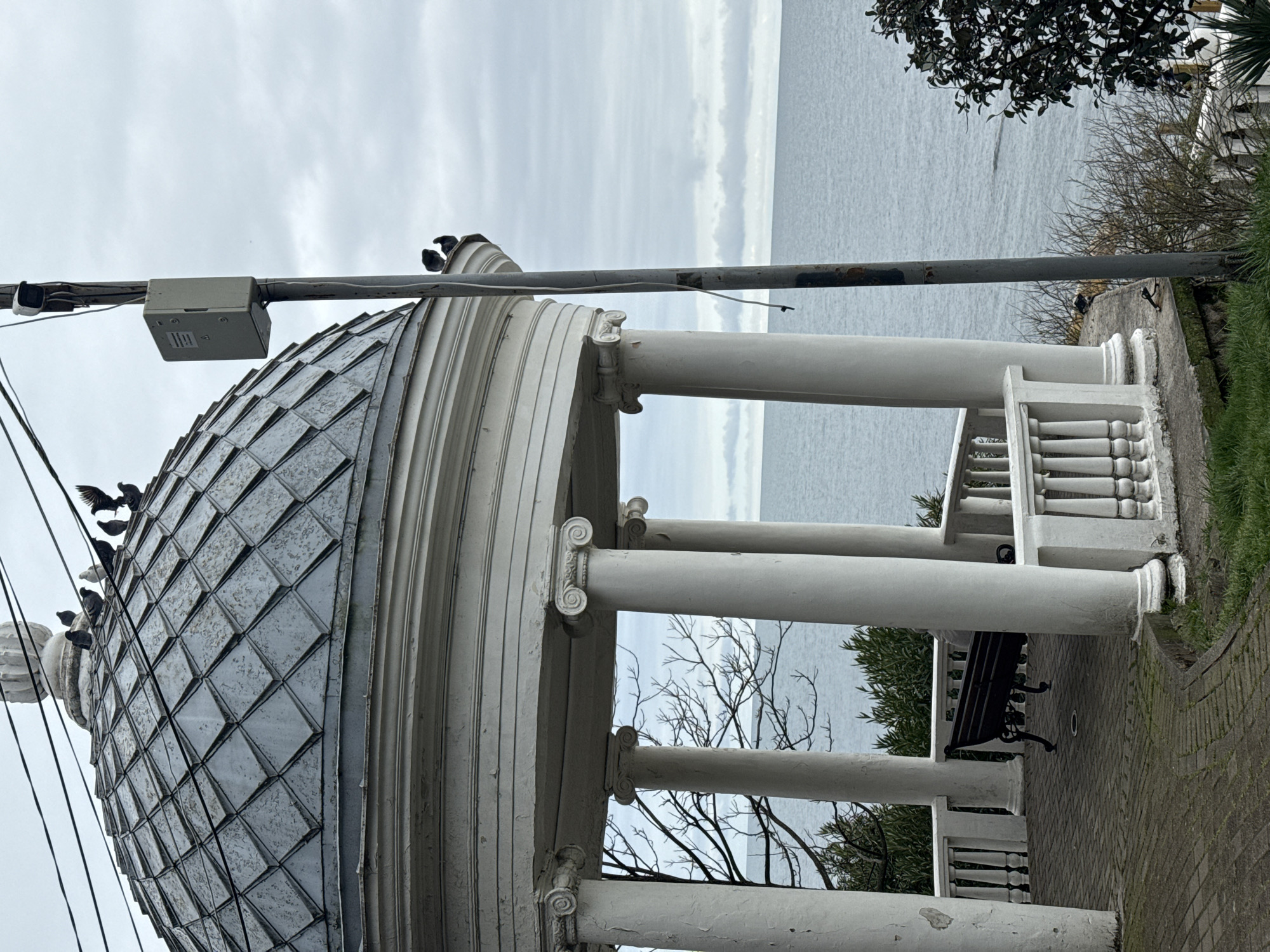 A weathered, classical-style circular rotunda gazebo, constructed of white-painted concrete or stone, stands on a paved terrace overlooking the Black Sea in Sochi, Russia, under a uniformly overcast sky. The gazebo features six visible fluted columns with Ionic capitals, supporting an entablature and a grey, diamond-patterned metal dome roof. A decorative white balustrade encircles the perimeter. On the dome's apex, approximately seven dark pigeons and one white pigeon are perched. Two additional dark pigeons rest on the cornice below the dome on the right side.
Inside the gazebo, a dark-colored, ornate metal bench is visible, positioned against the balustrade, with a partially obscured human figure seated upon it, facing the sea. The gazebo floor is paved with light-brown brickwork.
To the right of the rotunda, a tall, rust-colored utility pole is present, extending vertically and supporting multiple black electrical wires that traverse the upper left of the frame. A light-grey utility box with indistinct markings is affixed to the pole, level with the rotunda's upper structure. A white cable hangs loosely from the pole towards the lower right.
The background reveals the calm, grey-blue expanse of the Black Sea, meeting a cloudy horizon. Green foliage and some leafless tree branches are visible around and below the gazebo, suggesting a coastal park or promenade environment. The immediate foreground consists of grassy ground and a brick-paved pathway leading to the rotunda.