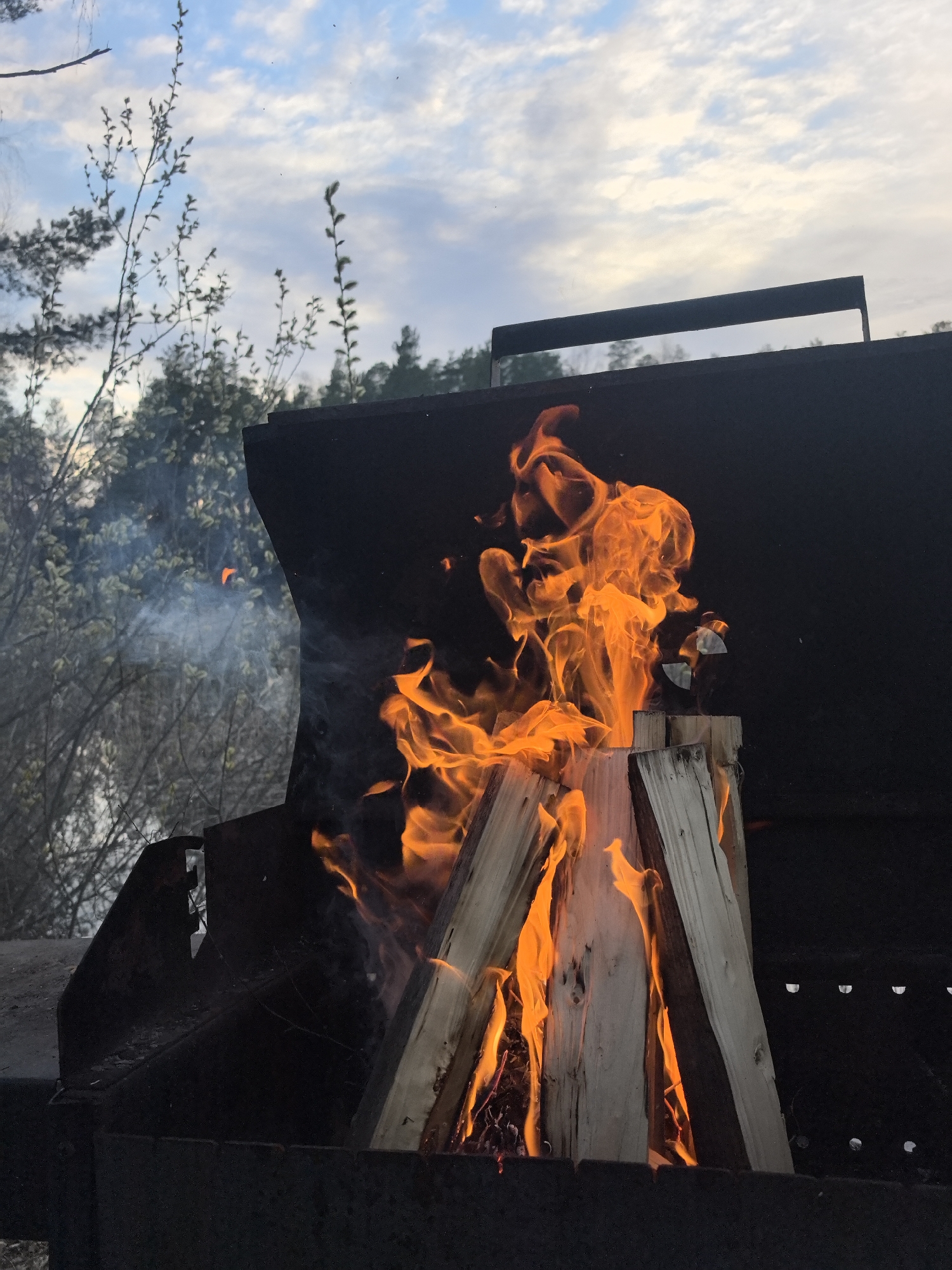 This vertical image captures a vivid bonfire burning within a dark metal barbecue grill or brazier, set outdoors in Noviy, Russia. Bright orange and yellow flames roar vigorously, engulfing several light-colored logs stacked vertically within the grill. The intensity of the fire creates a warm glow that contrasts with the cooler tones of the surrounding environment. Wisps of smoke drift gently from the fire towards the left side of the frame.
The sturdy, dark metal grill occupies the lower and right-hand portions of the image. Its interior walls are visible, reflecting the fire's light, and it features a simple, rectangular handle-like structure on its top edge.
In the background, the scene reveals a natural landscape, likely a forested area. Thin, bare branches and early spring foliage, possibly indicating budding trees, are prominent on the left, suggesting a season of transition such as late winter or early spring. Denser tree cover is visible further in the distance. The sky above is soft and cloudy, with patches of light blue interspersed with textured white and grey clouds. The overall diffused lighting suggests the late afternoon or early evening, creating a serene and tranquil atmosphere around the energetic fire. No people are visible, and there is no discernible text in the image.
