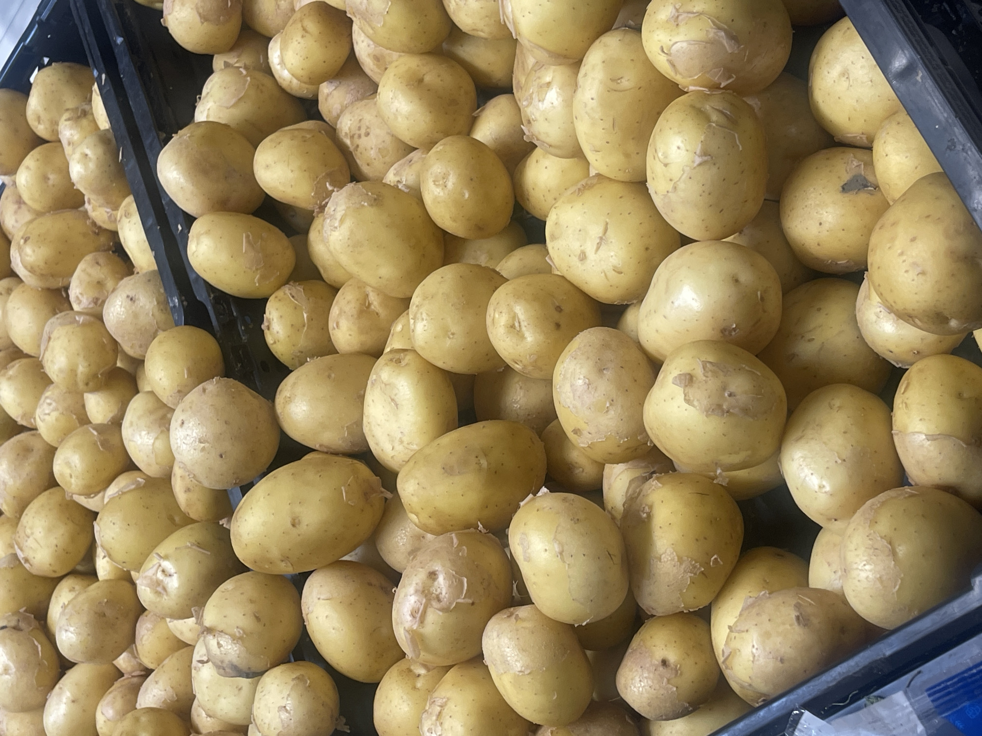 A high-angle, close-up shot showcases a large quantity of small, yellow-skinned potatoes densely packed in a dark plastic bin. The potatoes are mostly oval or round, with some displaying slight imperfections like blemishes or peeling skin. The lighting appears to be artificial, casting a soft glow on the produce and creating subtle shadows. The background is out of focus, revealing the black rim of the bin and hints of more potatoes beyond the visible area. The scene is static, with no people or activity evident. The location is described as Unknown, Unknown.