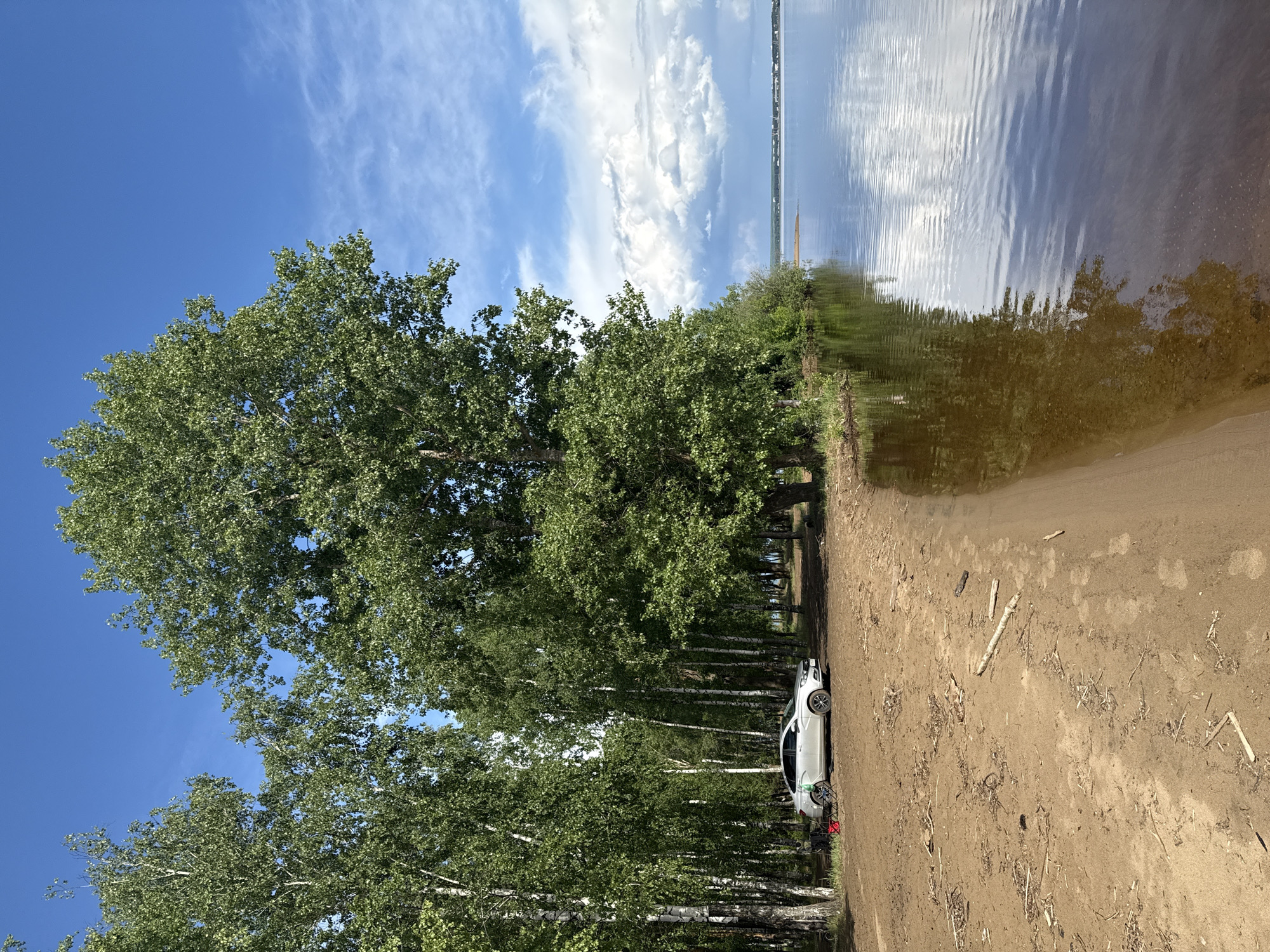 A slightly tilted landscape image depicts a sandy shore bordering a body of water, possibly a lake or river. The water reflects the sky, which is partly cloudy. A line of trees, primarily birch trees, stands along the edge of the shore, casting shadows on the ground. A white car is parked among the trees near the edge of the sand. The scene appears to be in a natural environment. The location is in or near Noviy, Russia.